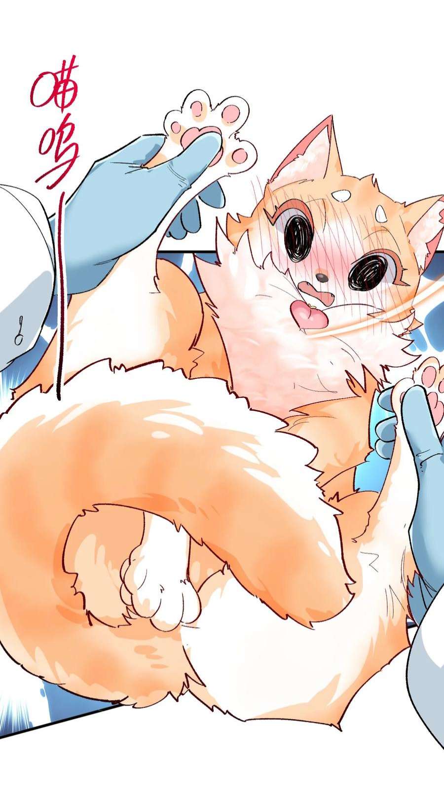 我所连接的少女，誓与她所有的镜像为敌015 救猫咪！