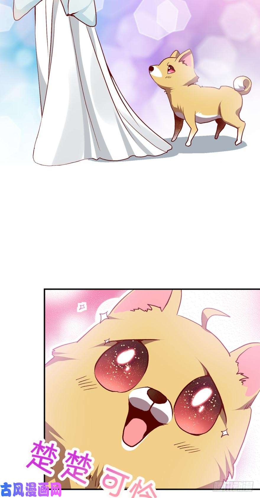 重生异世一条狗狗日子