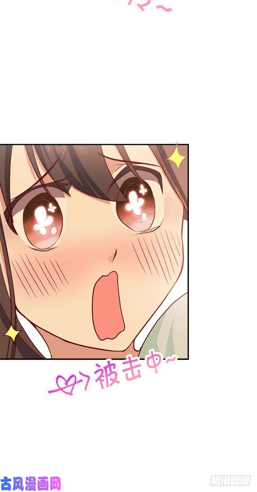 重生异世一条狗狗日子
