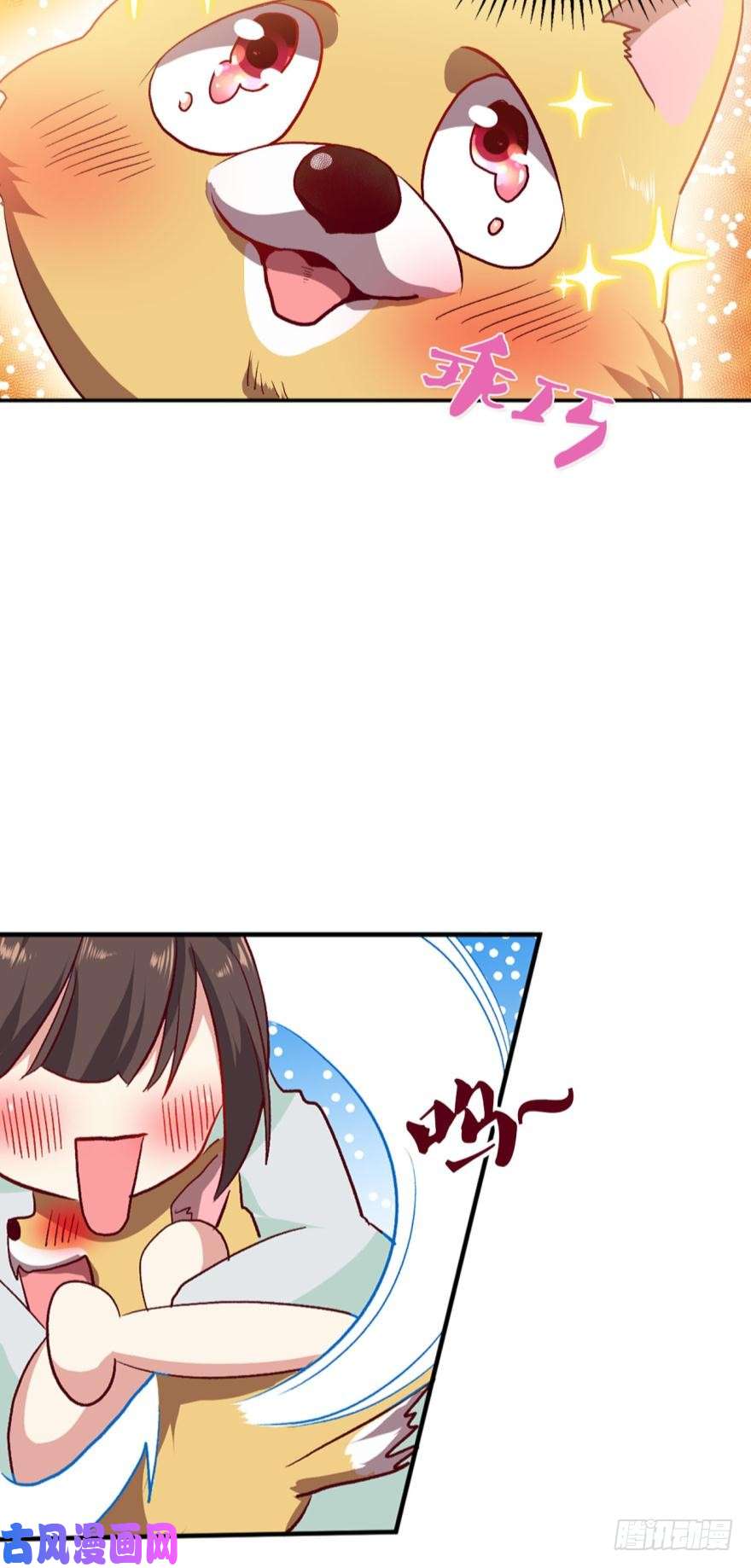 重生异世一条狗狗日子