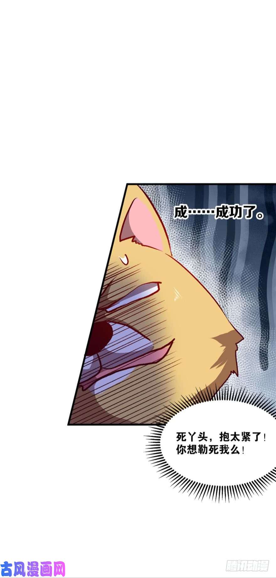 重生异世一条狗狗日子