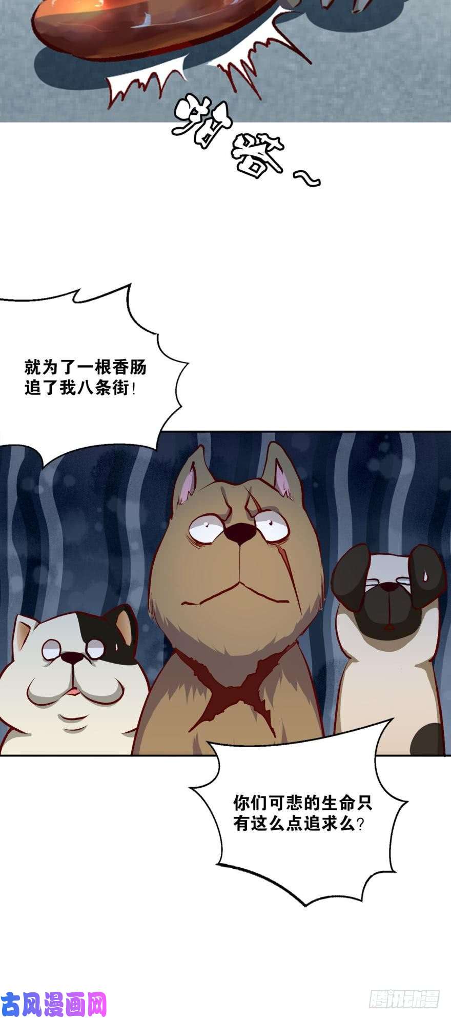 重生异世一条狗狗日子