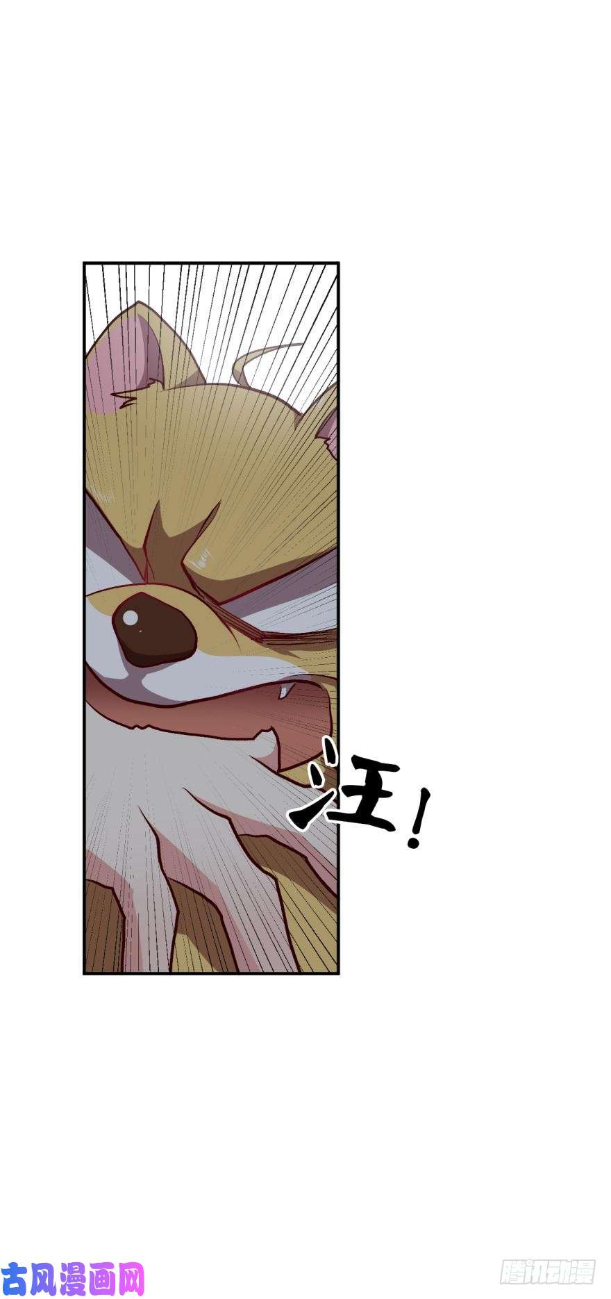 重生异世一条狗忠义无双