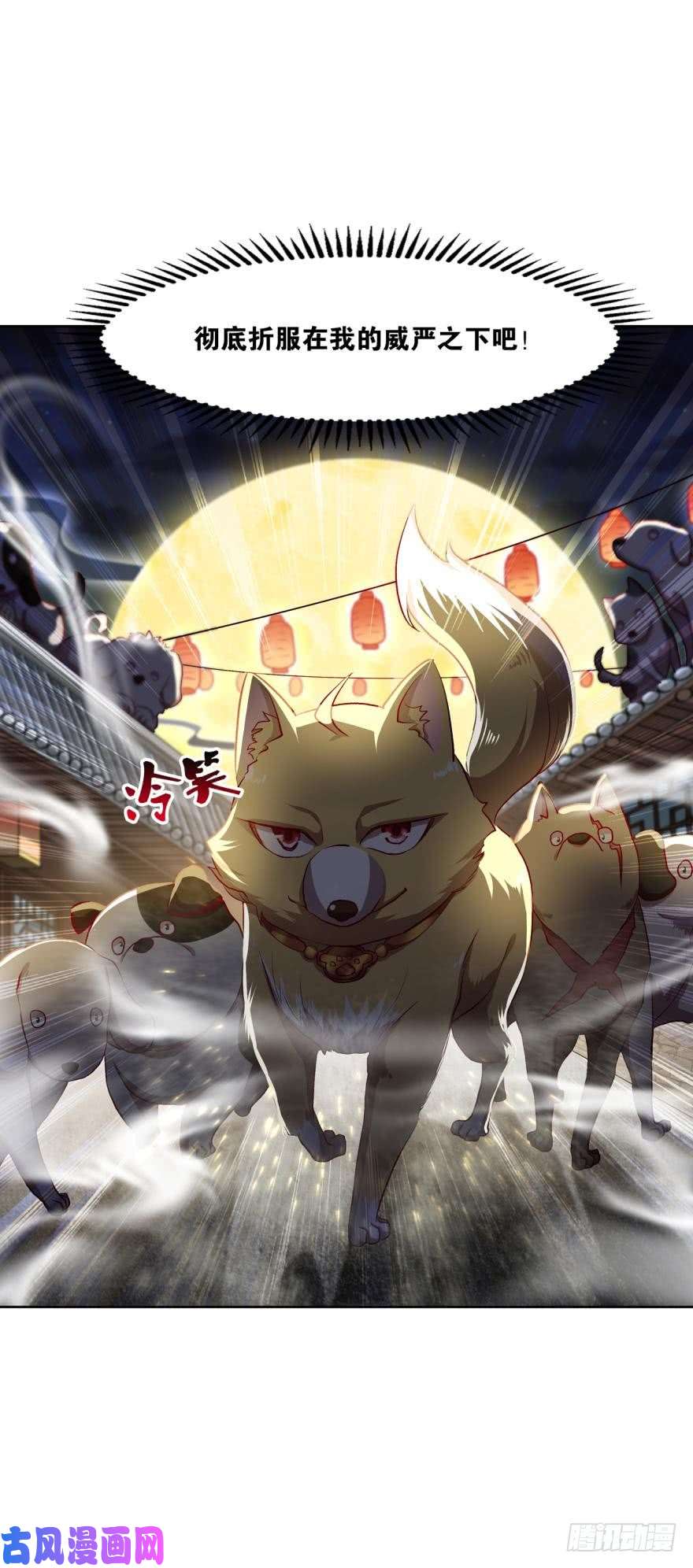 重生异世一条狗狗仙降世