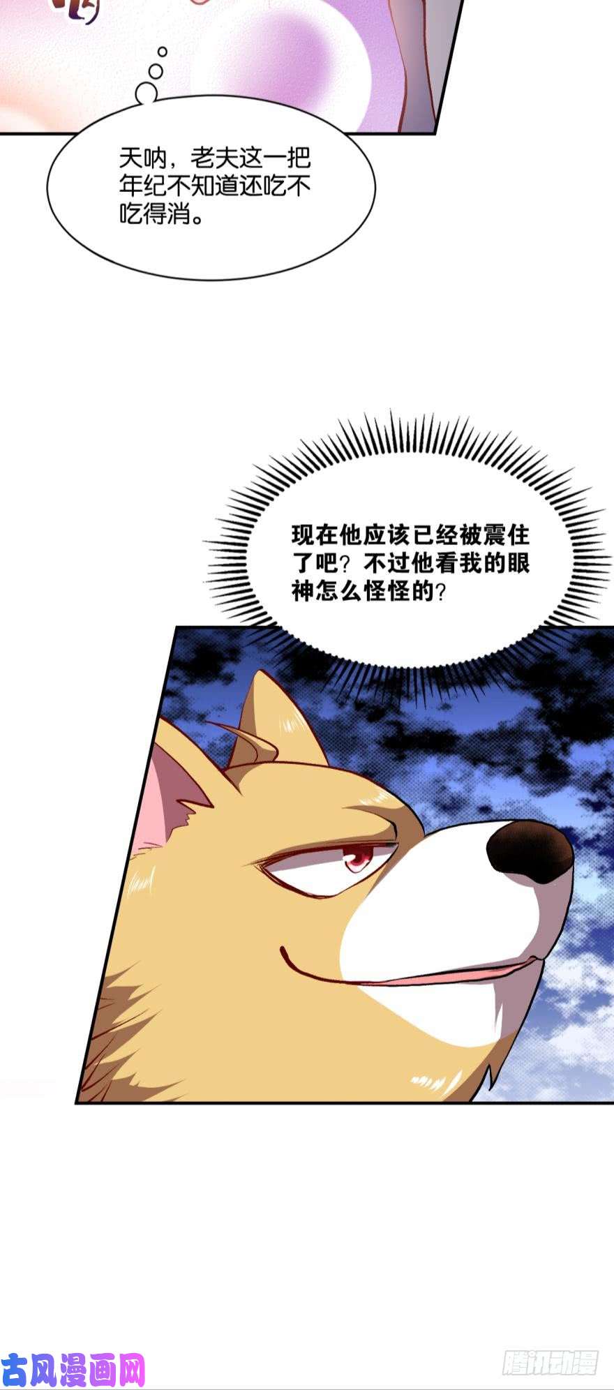 重生异世一条狗狗仙降世