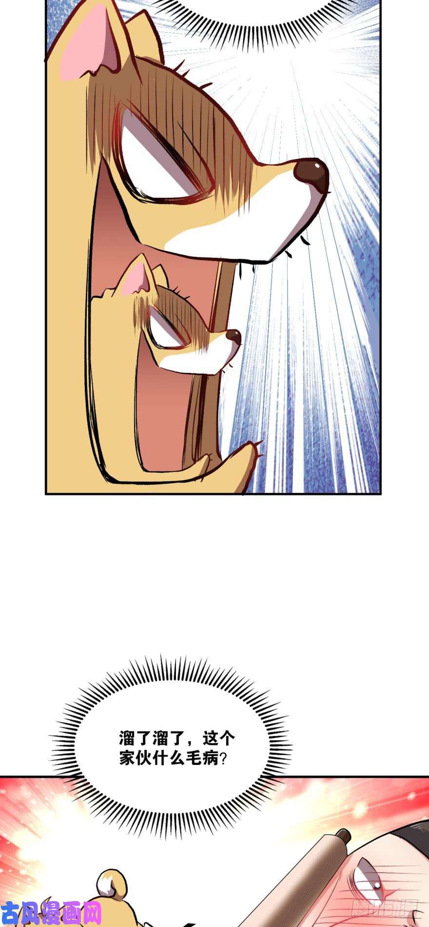重生异世一条狗狗仙降世