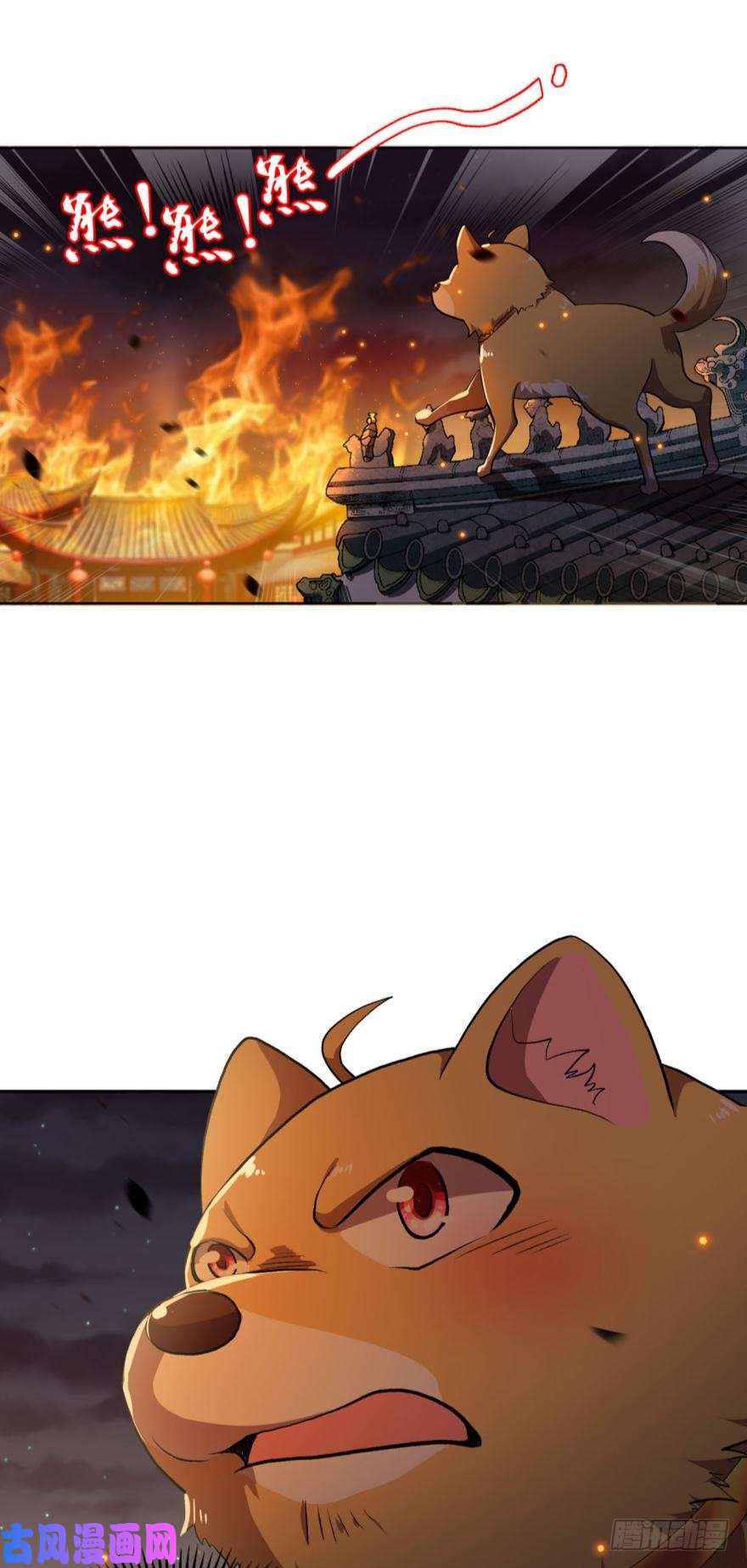 重生异世一条狗天崩