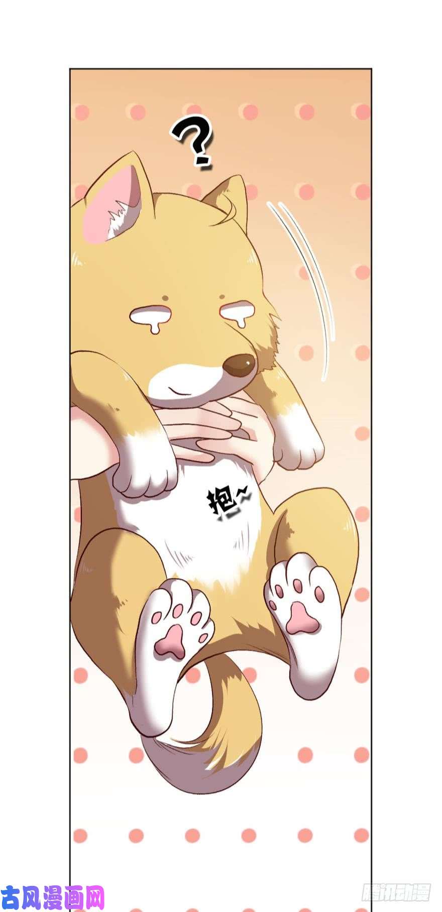 重生异世一条狗红尘三千丈，筑我登云梯