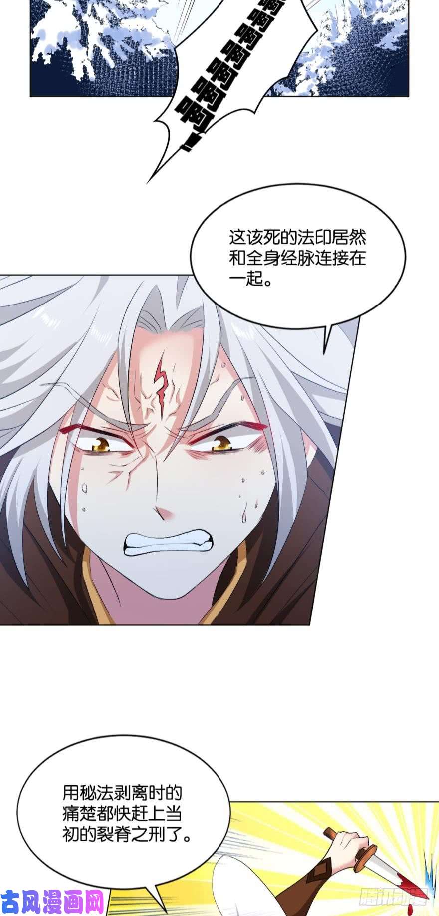 重生异世一条狗目标：淘汰全场