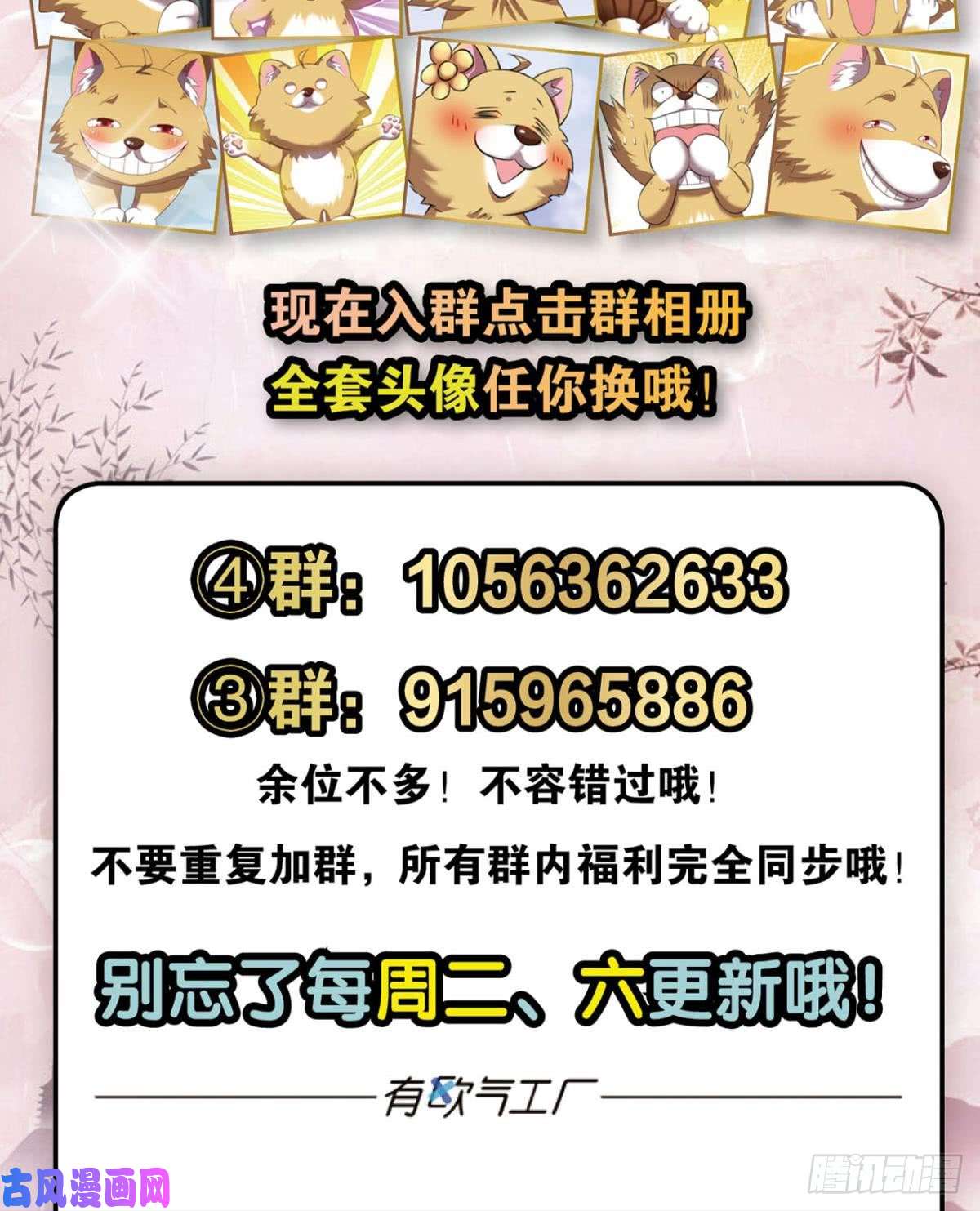 重生异世一条狗这个身体已客满