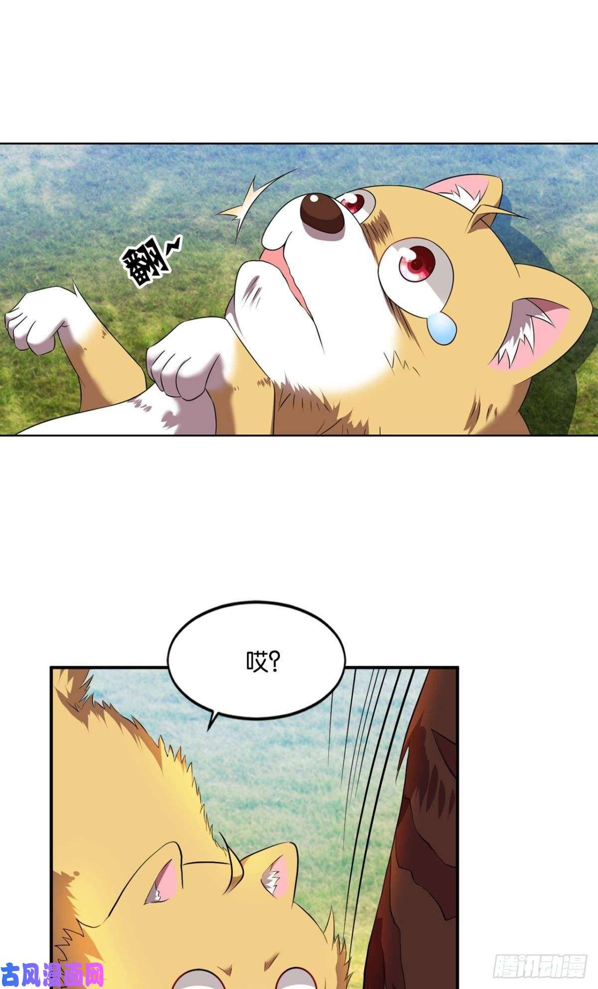 重生异世一条狗缘来是你