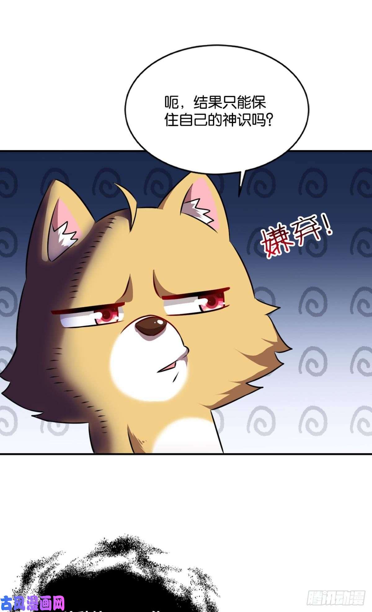 重生异世一条狗孤注一掷