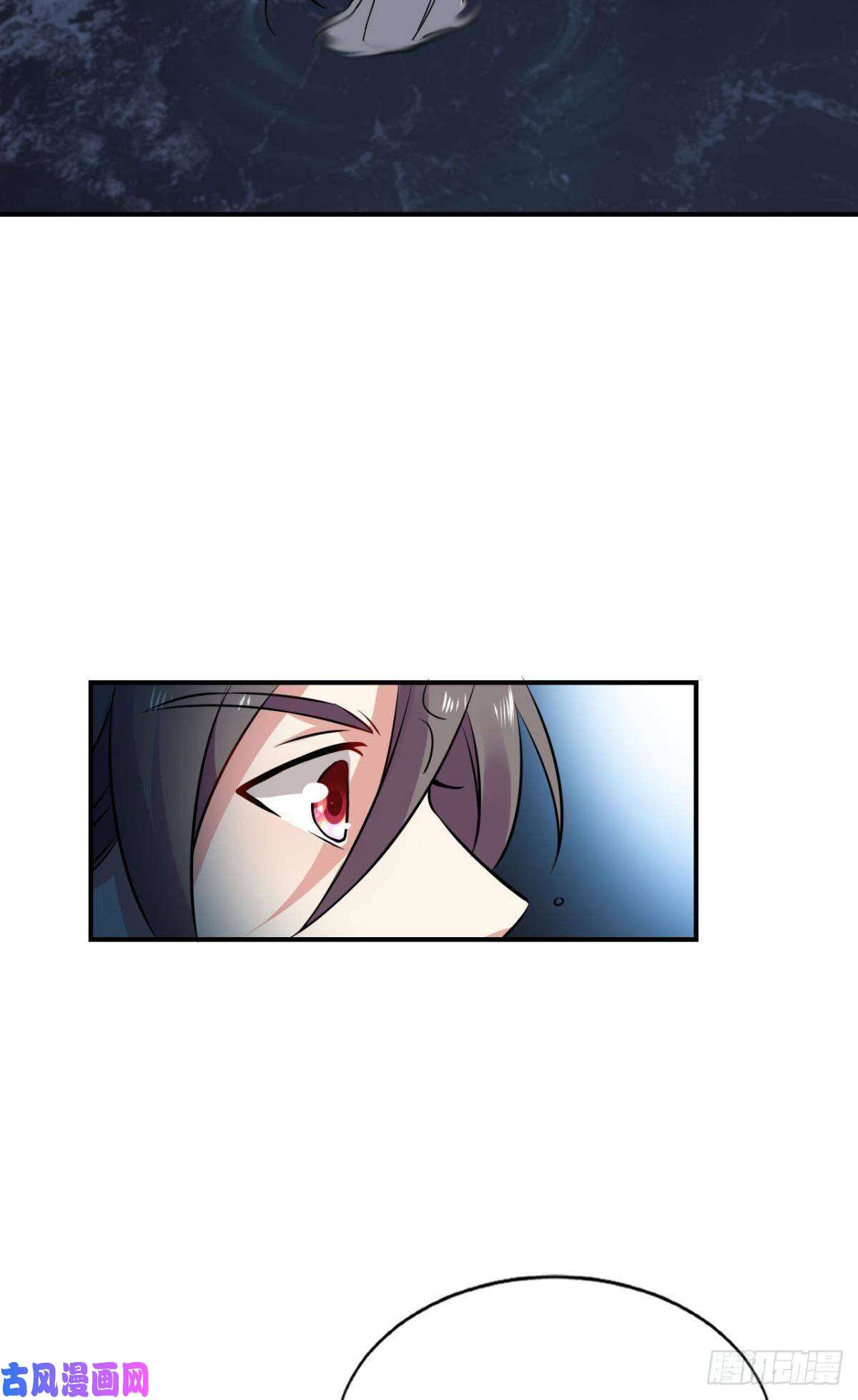 重生异世一条狗岁月如刀