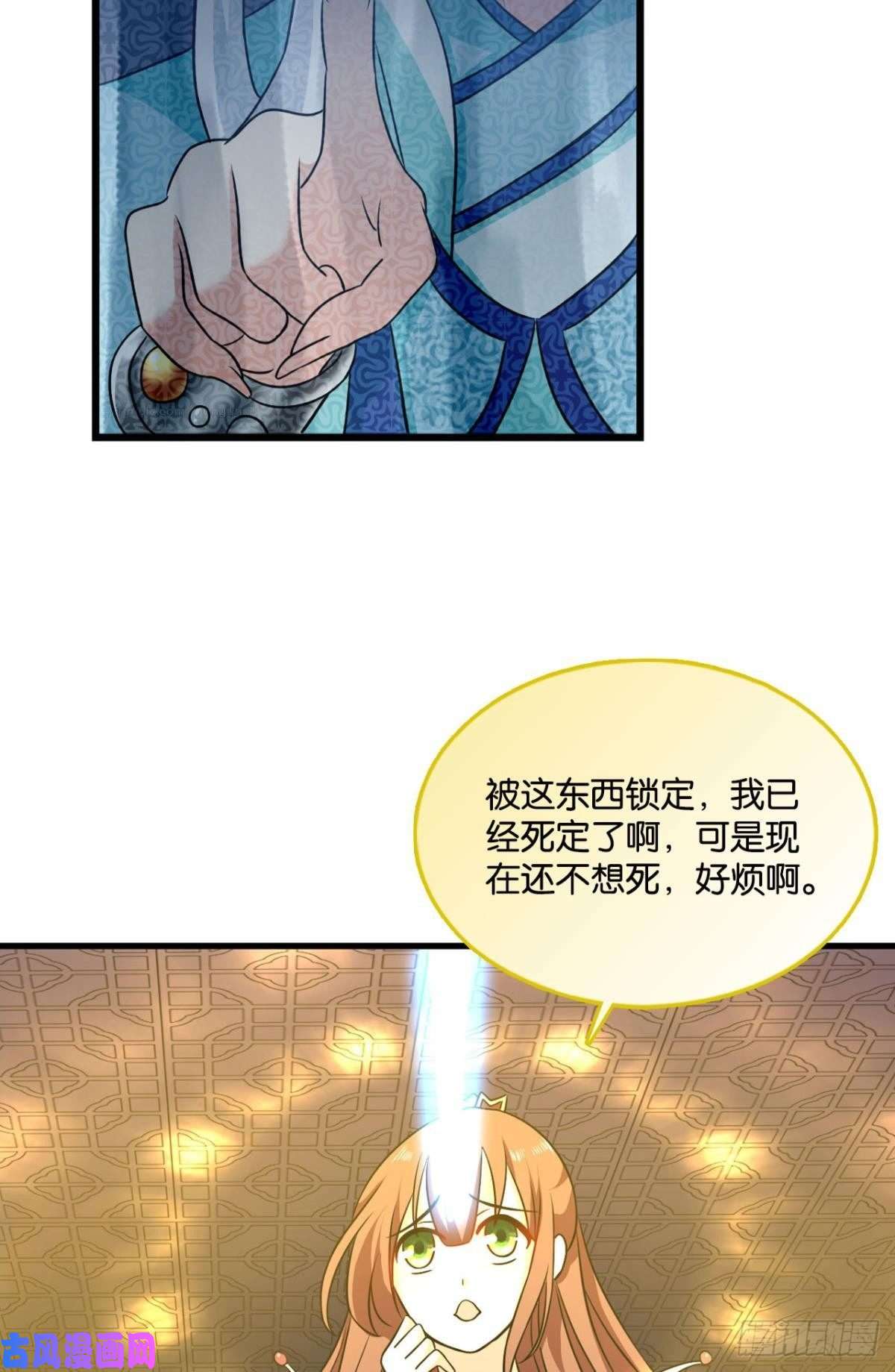 重生异世一条狗岁月如刀