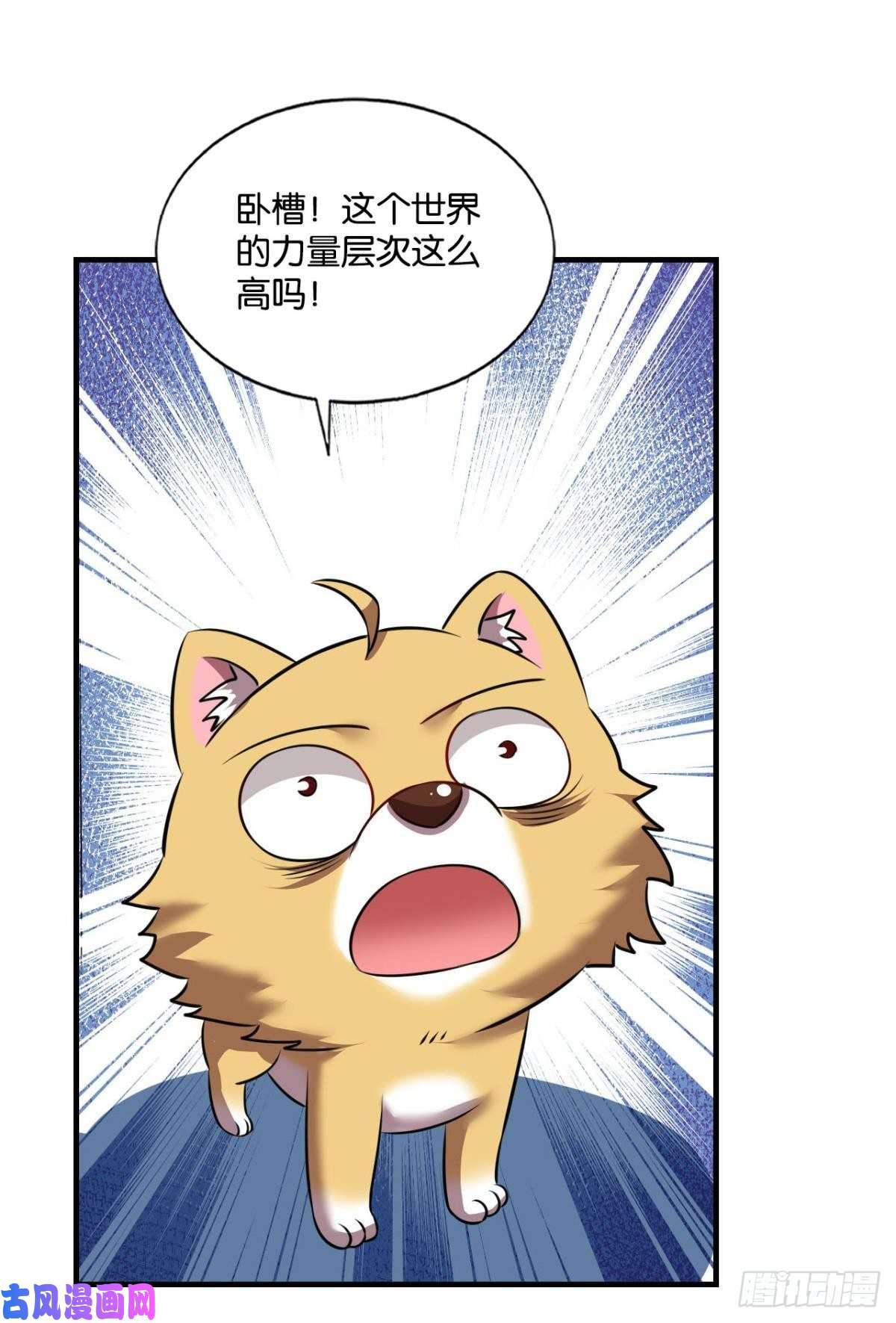 重生异世一条狗愿海波平