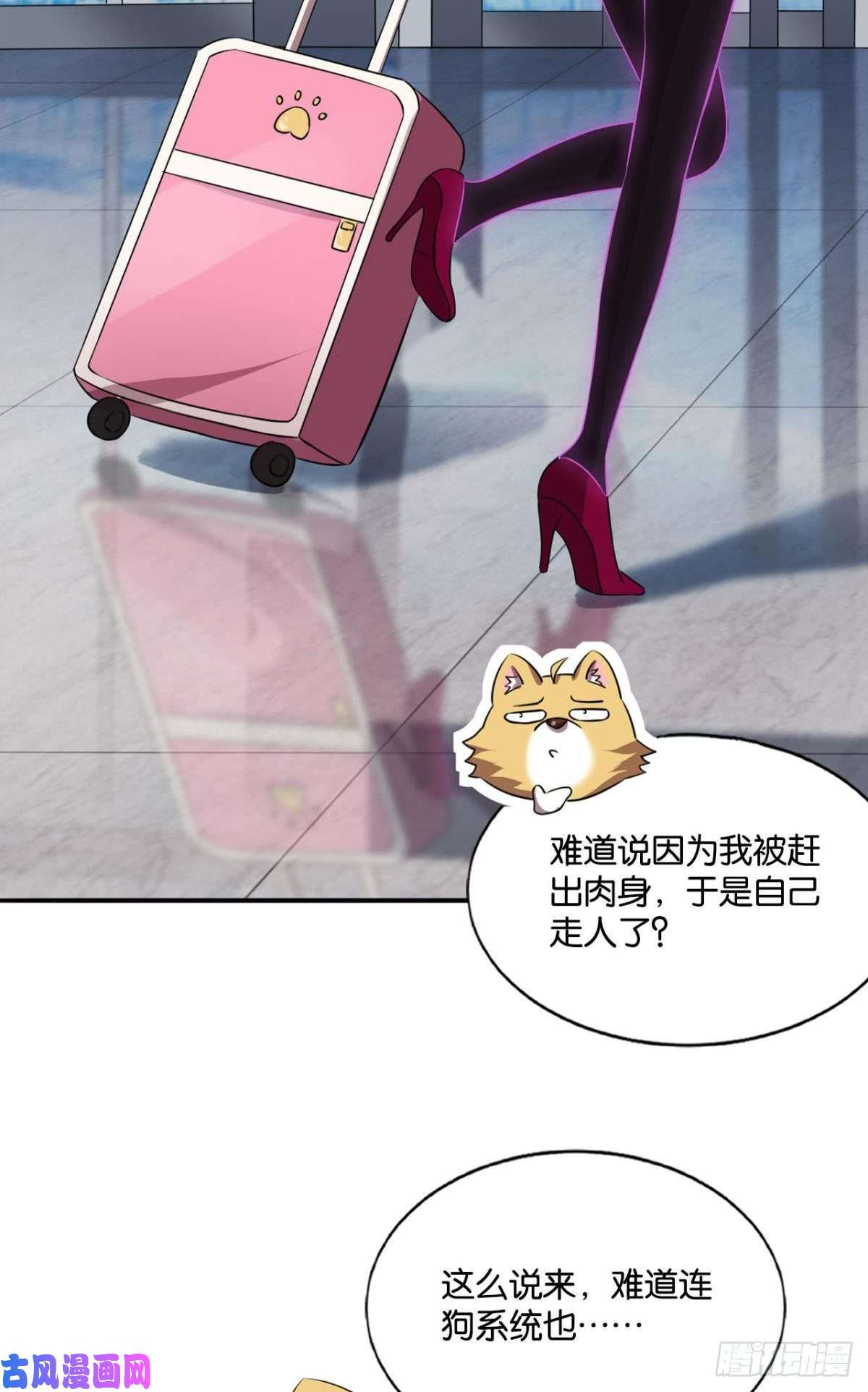 重生异世一条狗卫道平的杀局