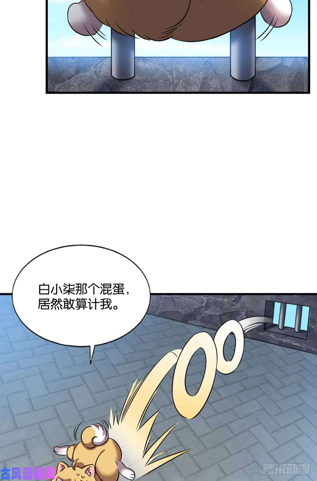 重生异世一条狗梦开始的地方