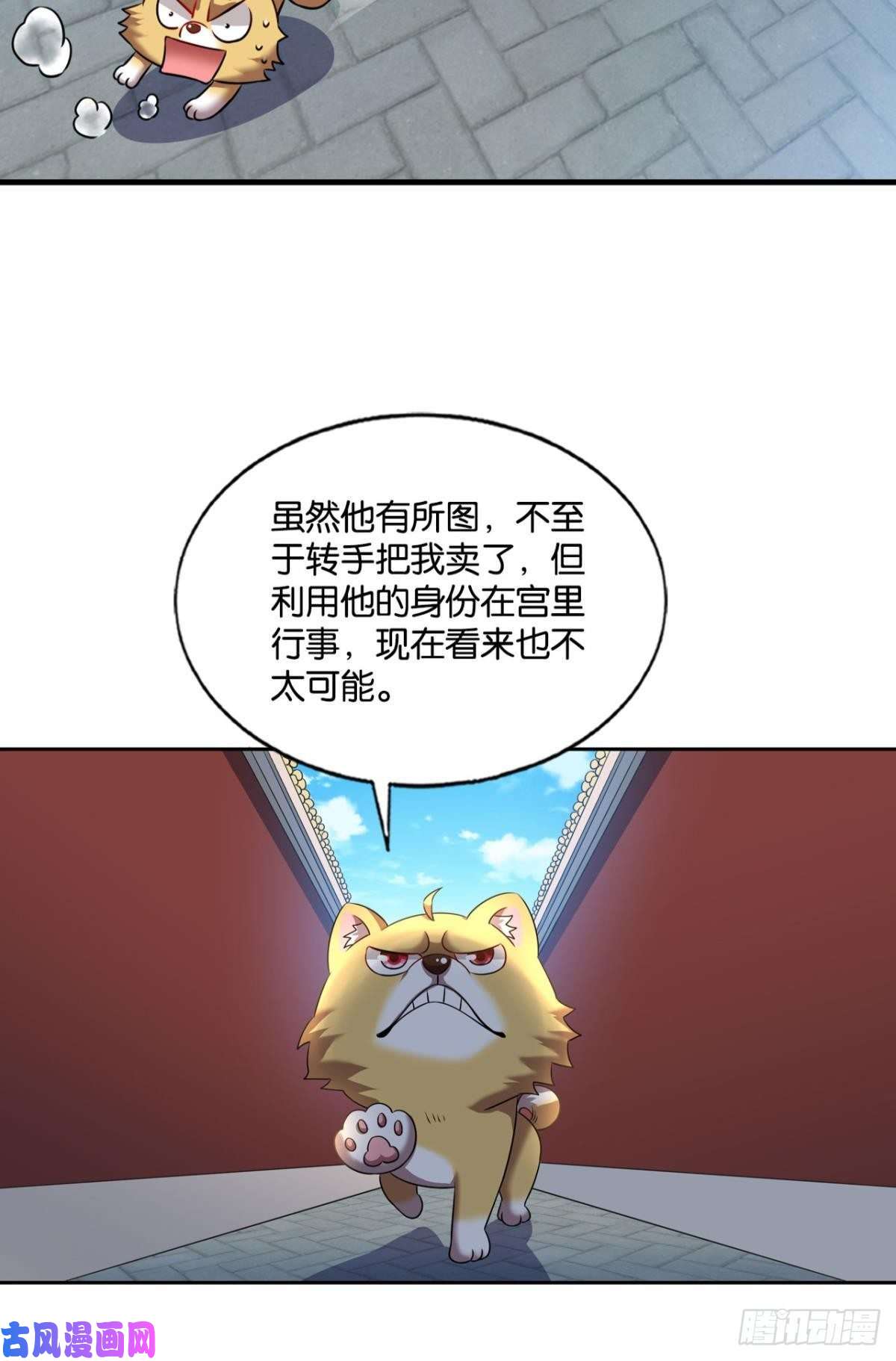 重生异世一条狗梦开始的地方