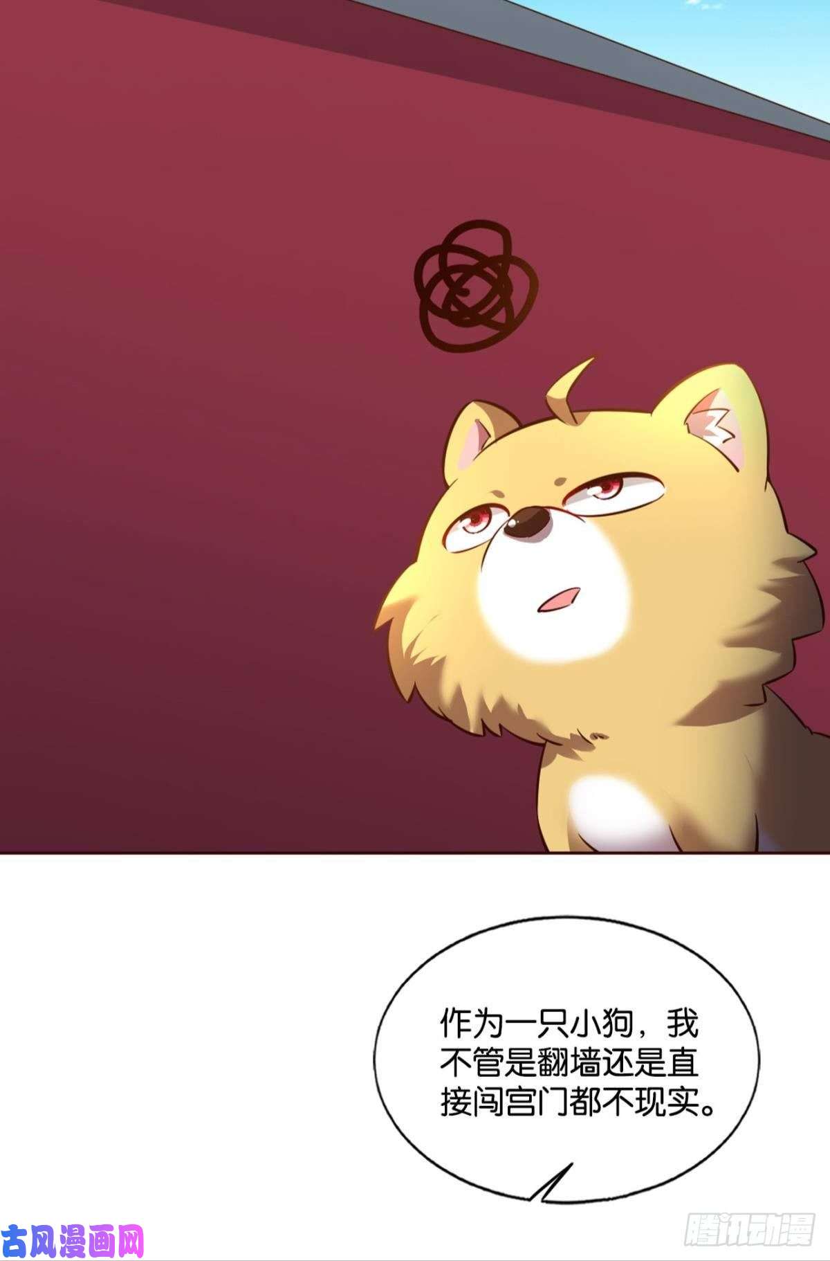 重生异世一条狗梦开始的地方