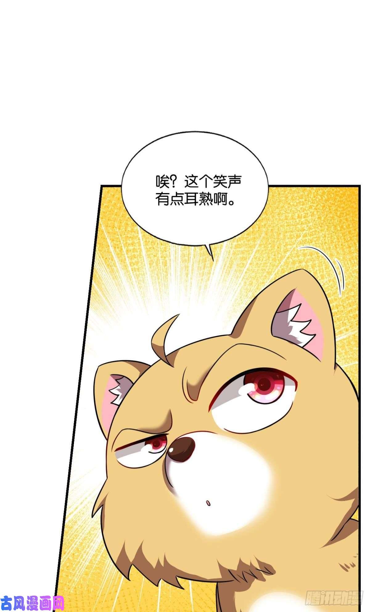 重生异世一条狗梦开始的地方