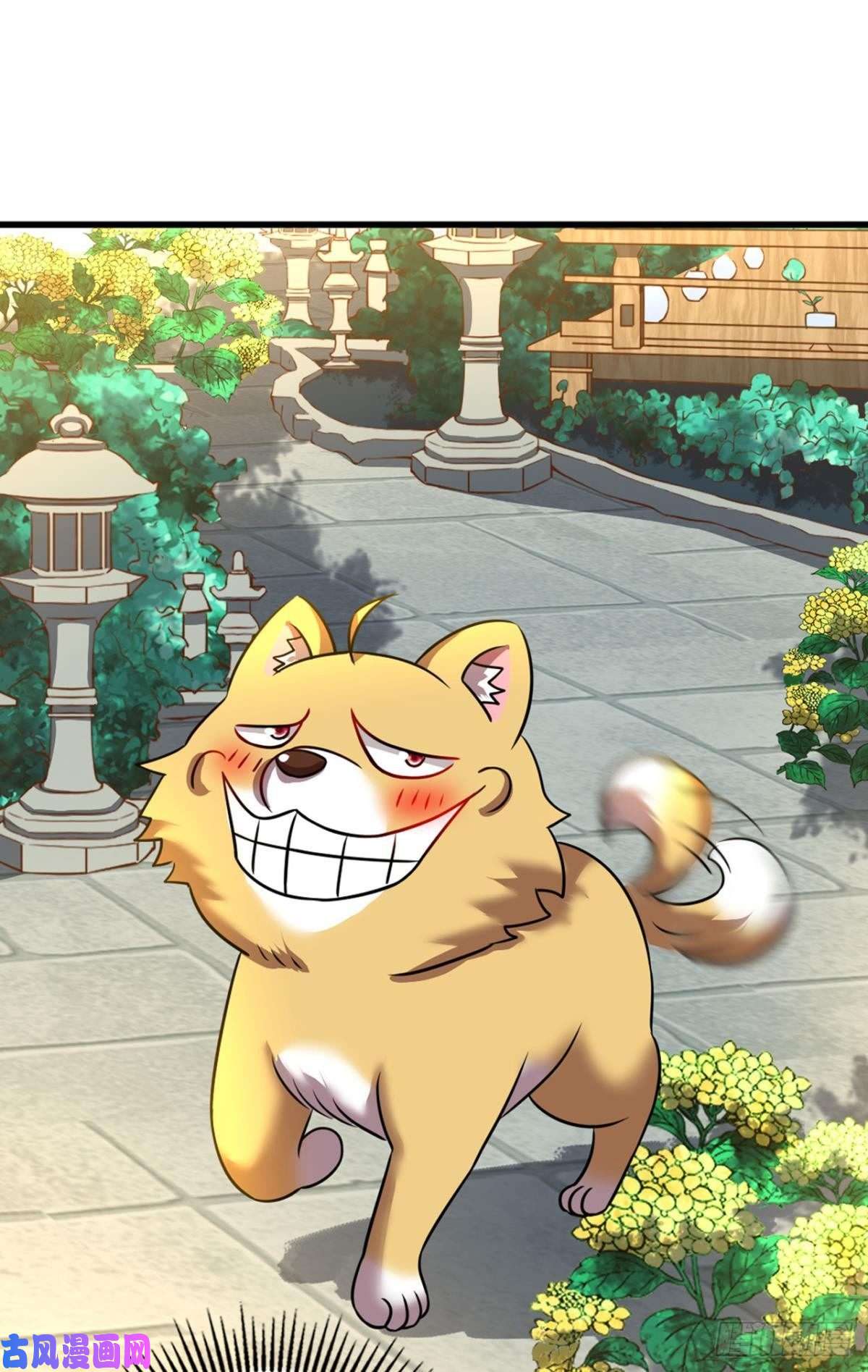 重生异世一条狗梦开始的地方