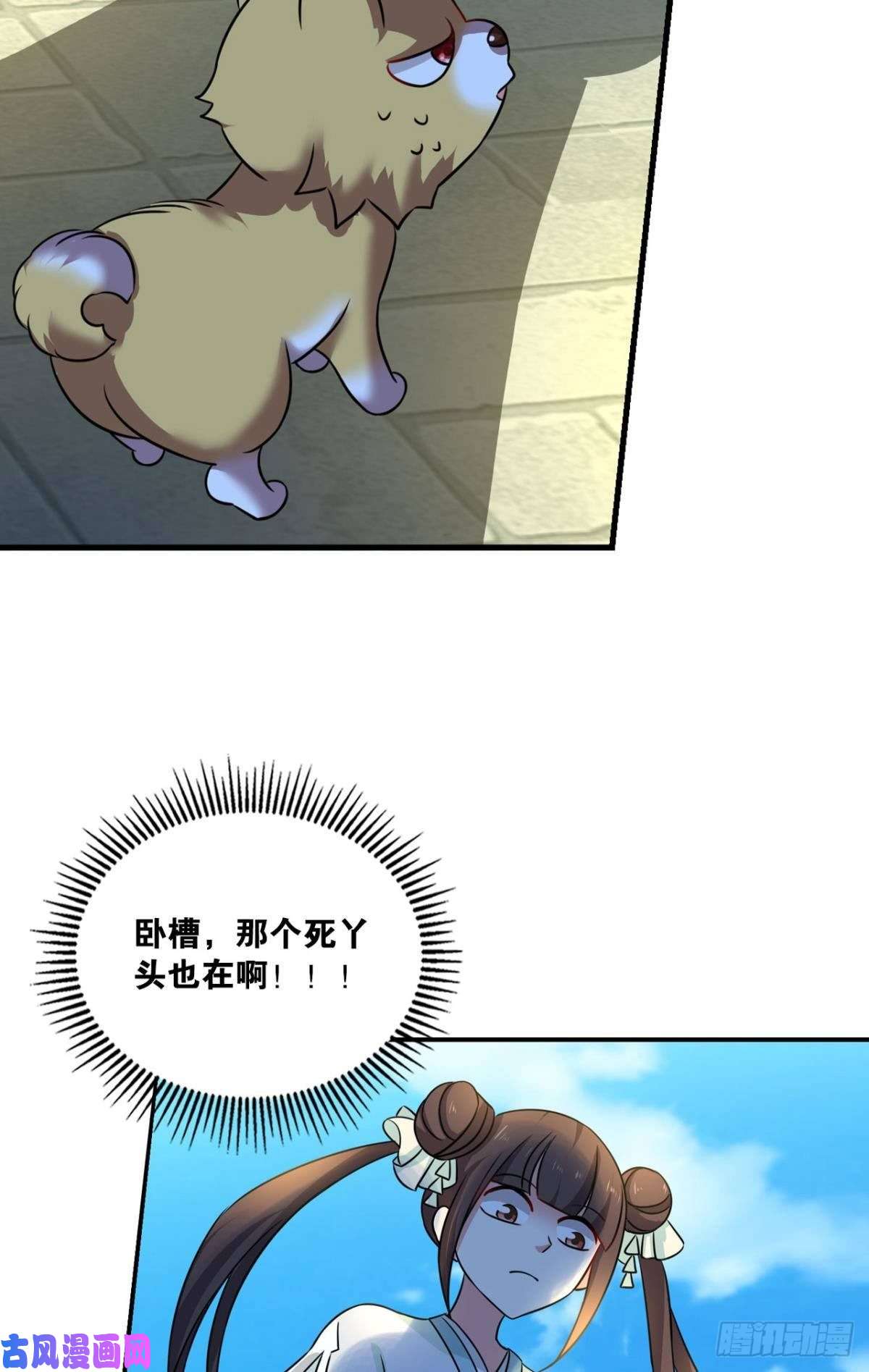 重生异世一条狗梦开始的地方