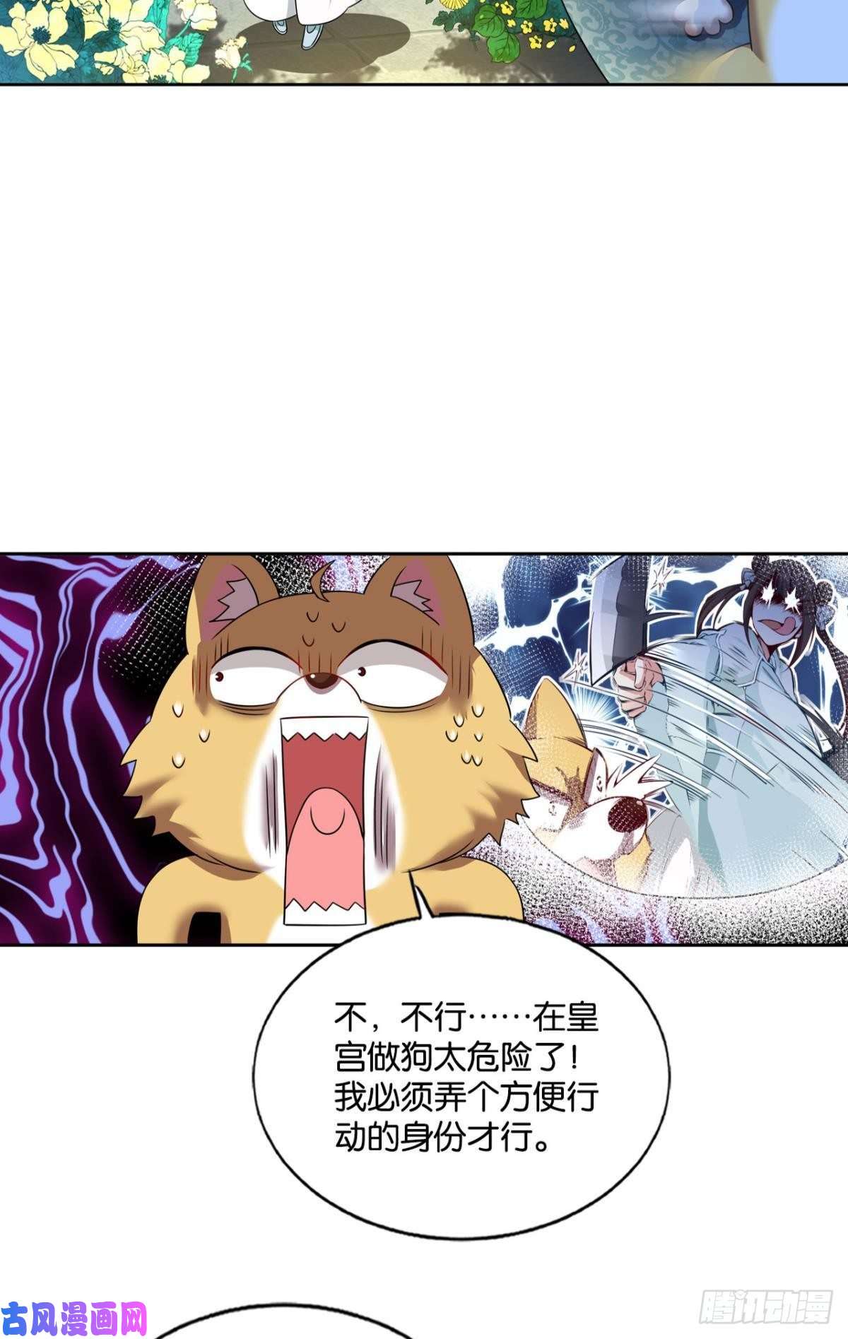 重生异世一条狗梦开始的地方