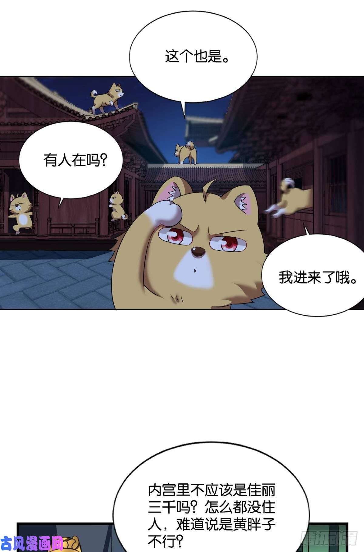 重生异世一条狗贼不走空