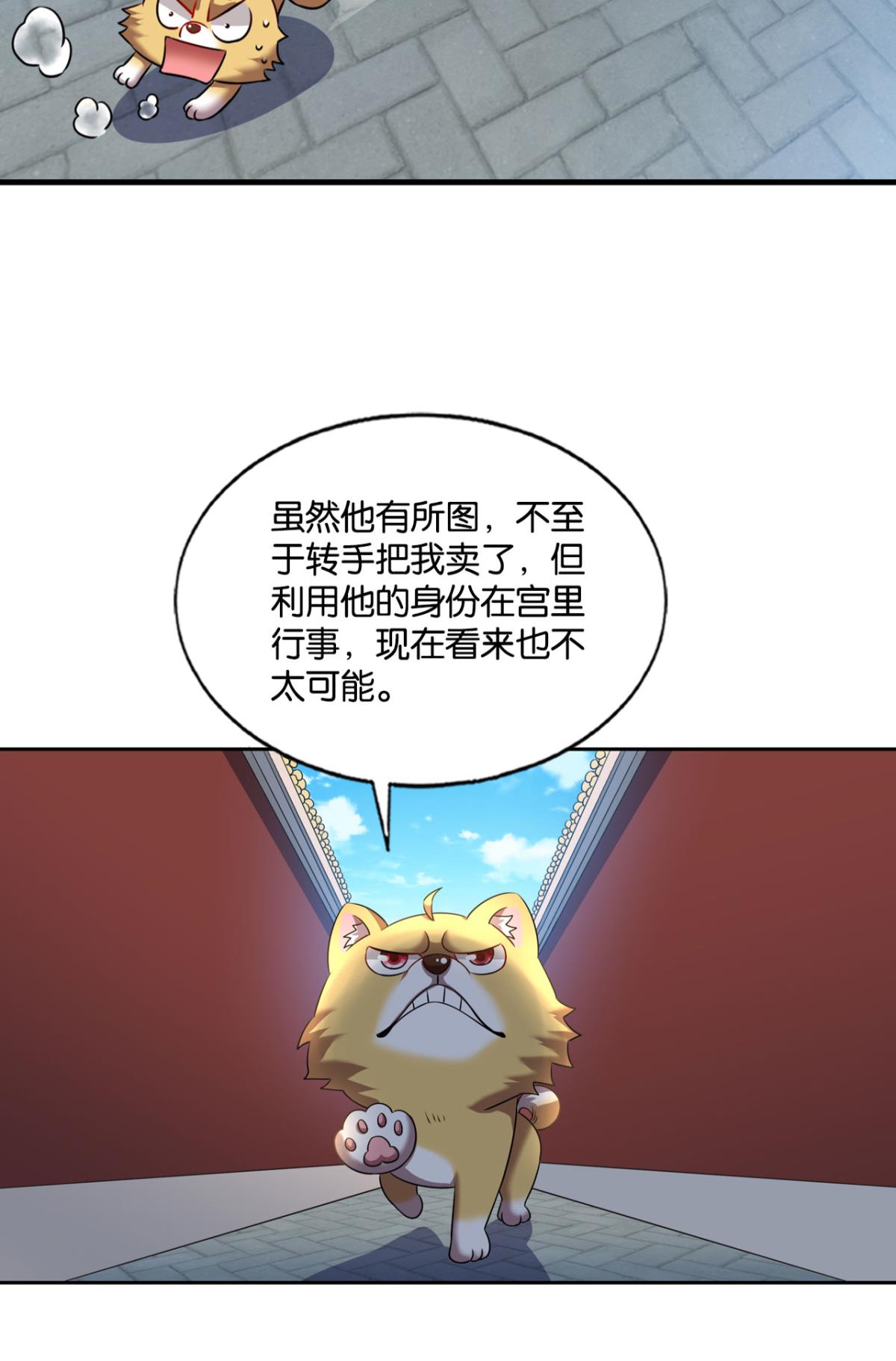 重生异世一条狗164 梦开始的地方