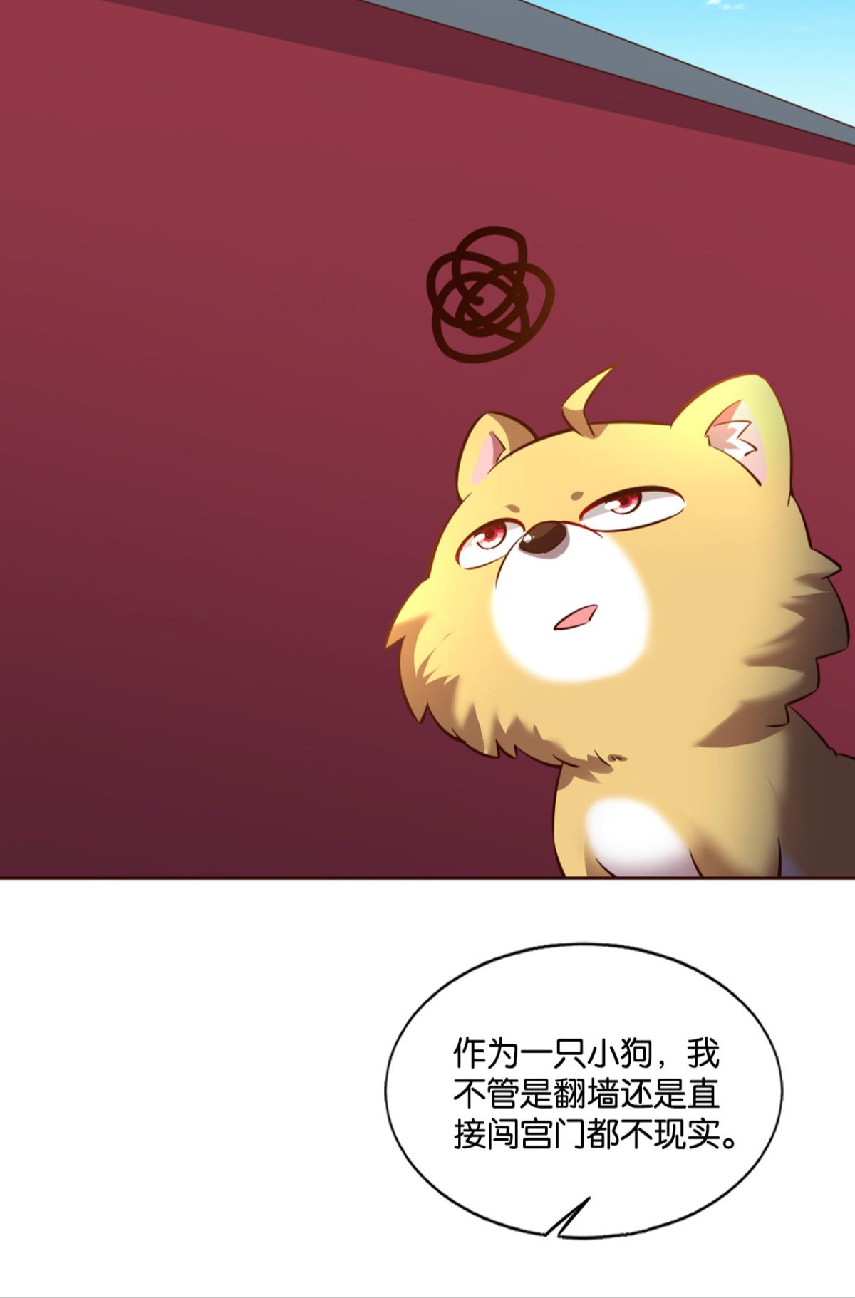 重生异世一条狗164 梦开始的地方