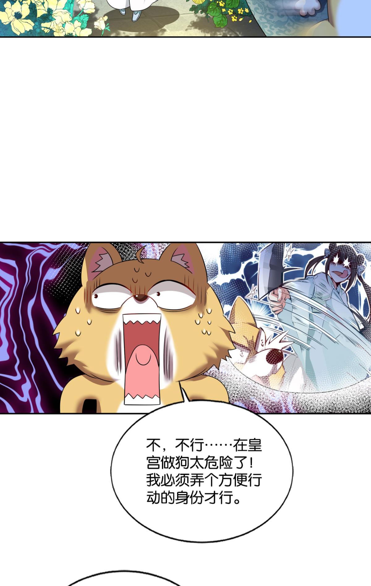 重生异世一条狗164 梦开始的地方