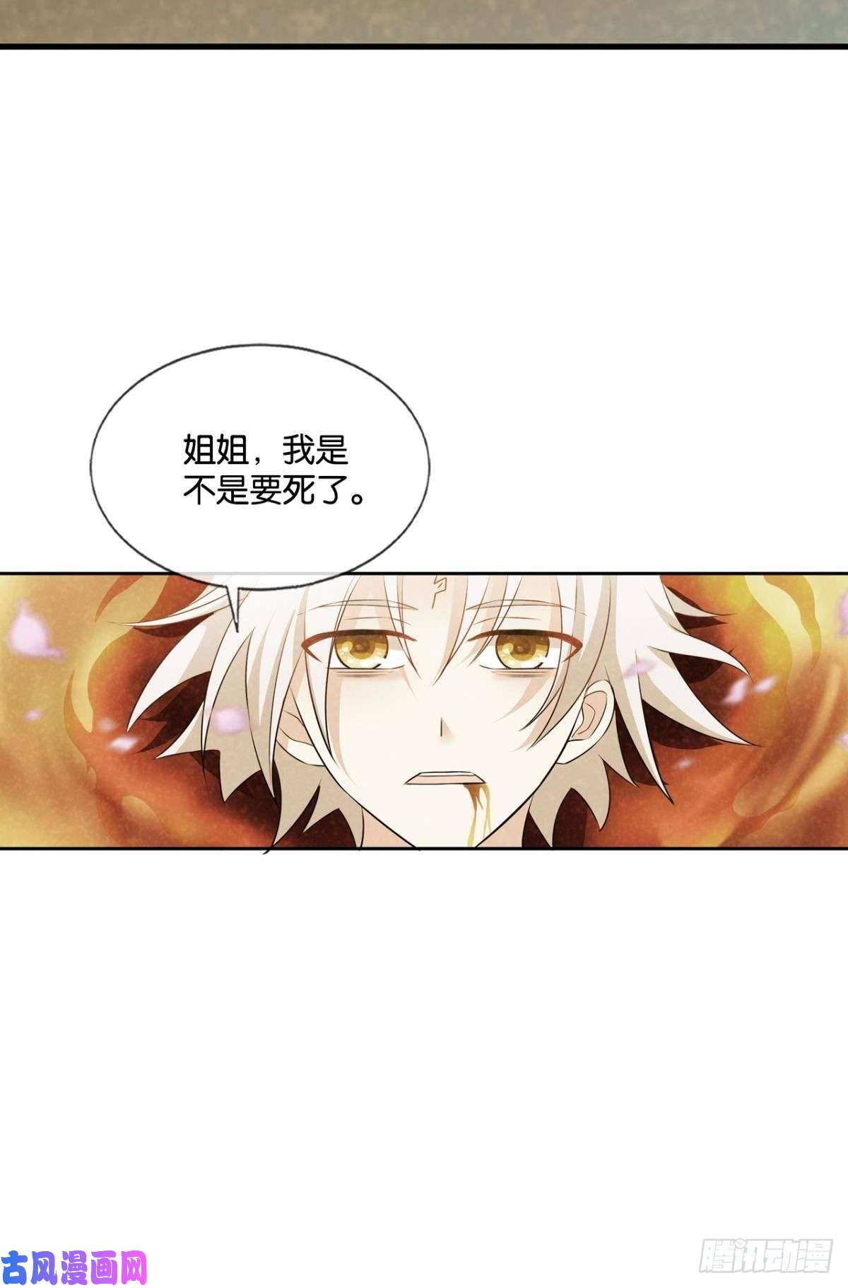 重生异世一条狗斩断轮话的剑