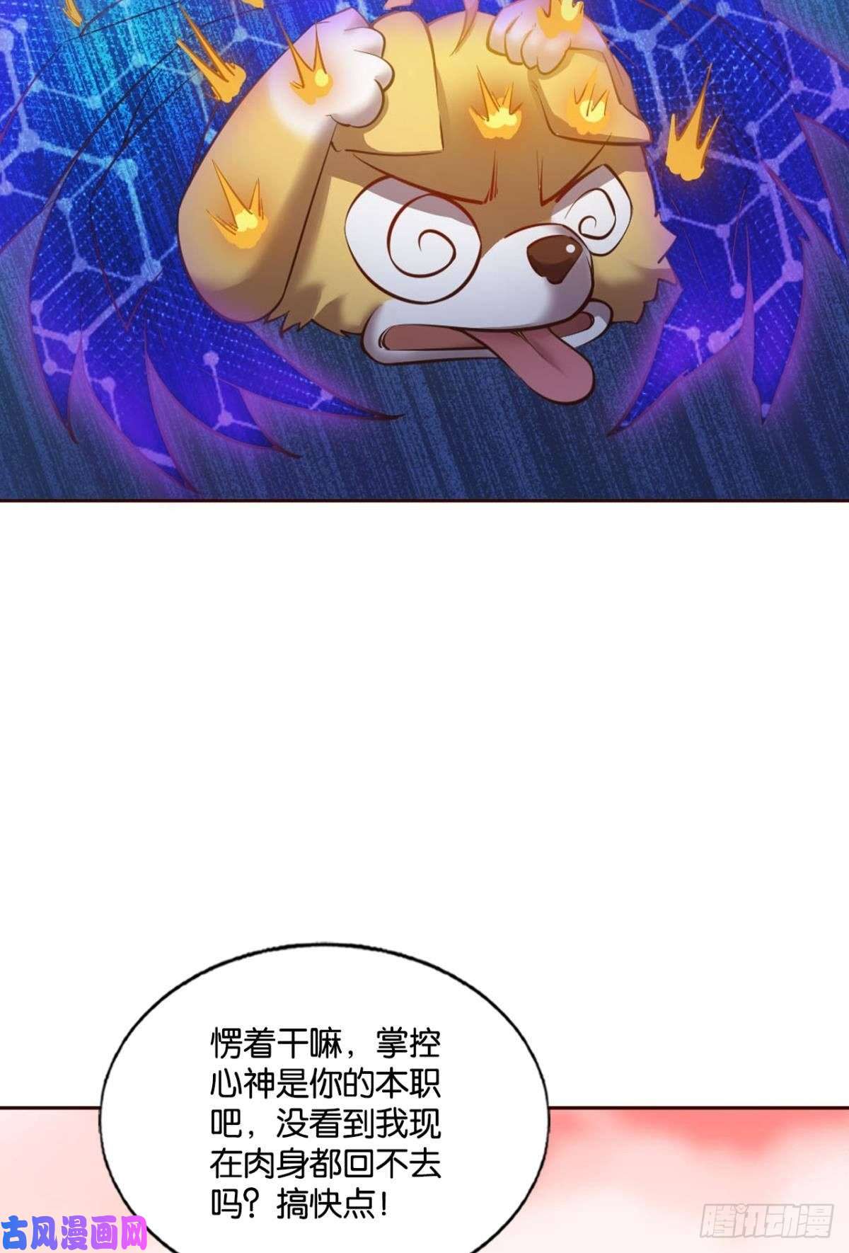 重生异世一条狗我为苍生