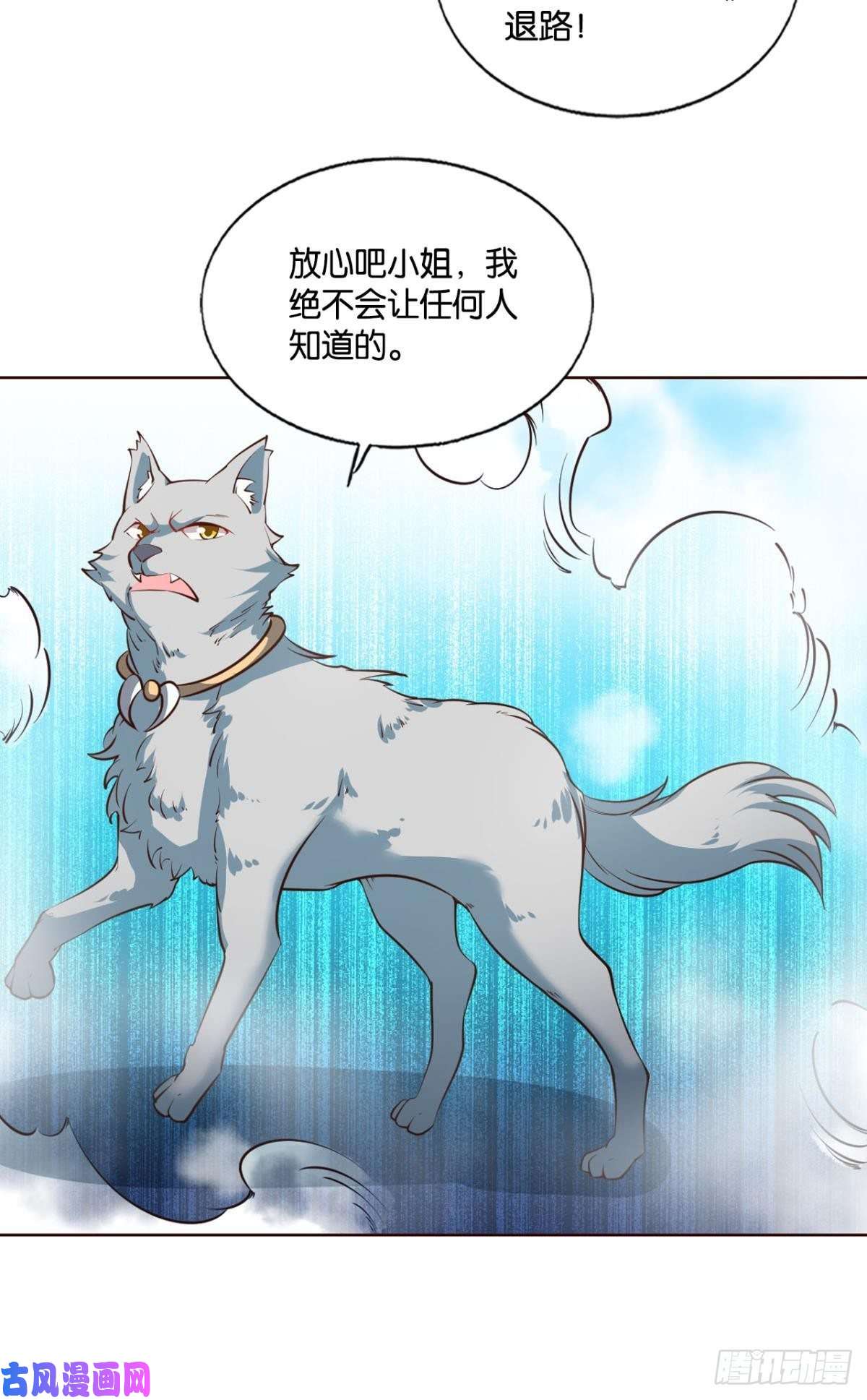 重生异世一条狗夜色如此平静