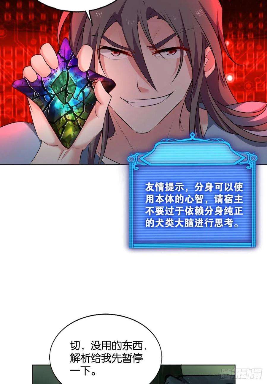 重生异世一条狗再撑亿下下