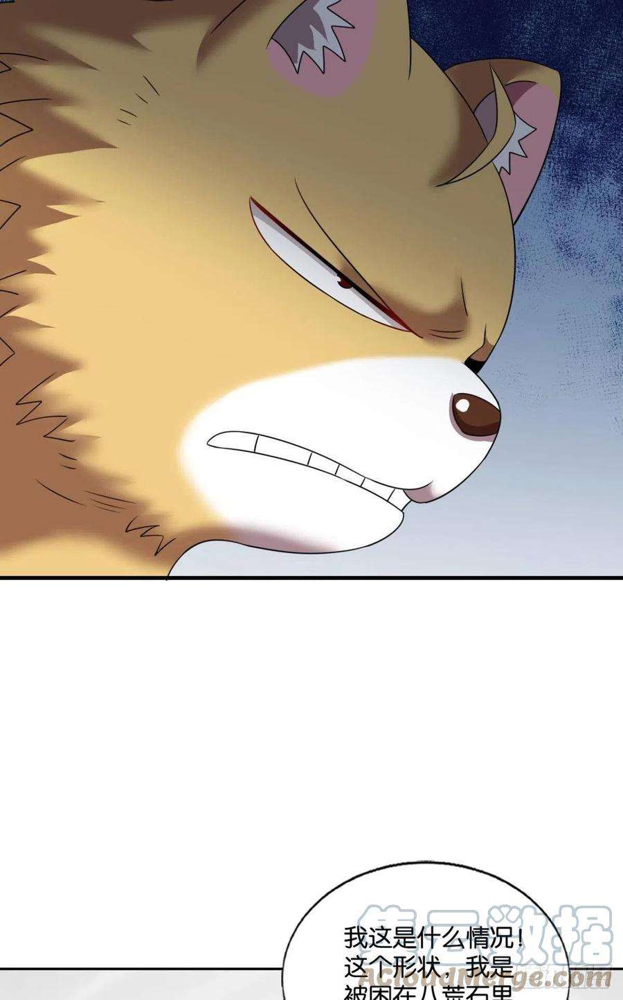 重生异世一条狗放手一搏！