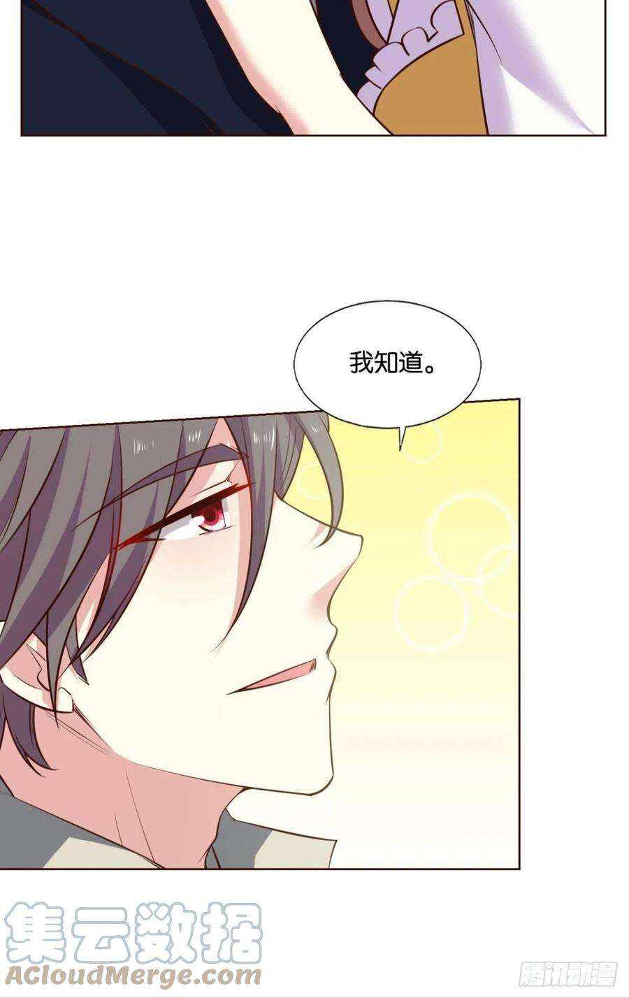 重生异世一条狗小孩子才做选择