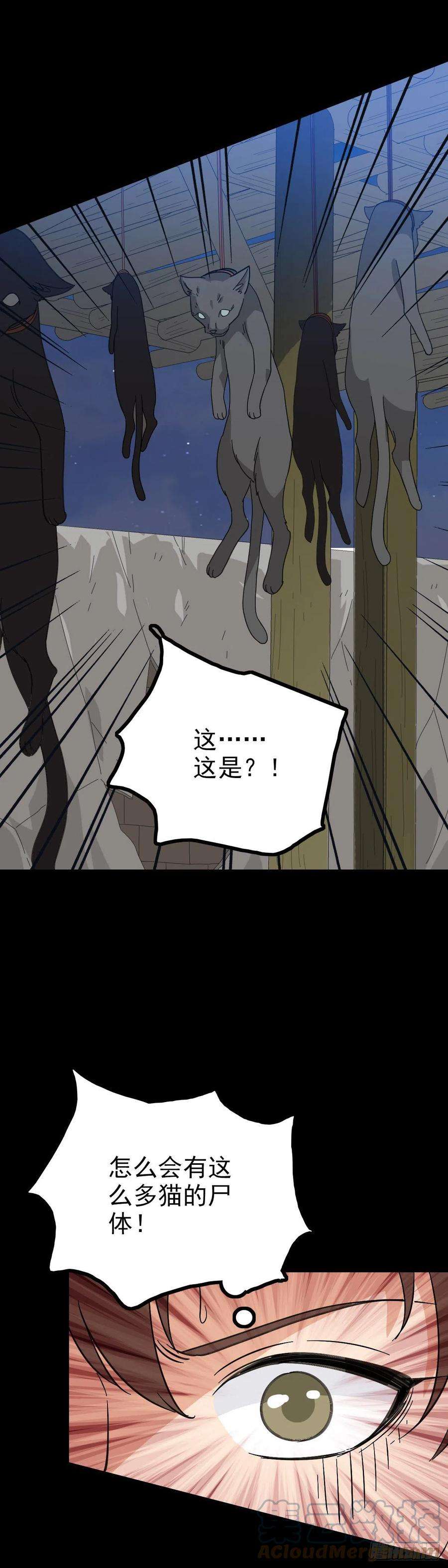 诛邪黑猫地煞