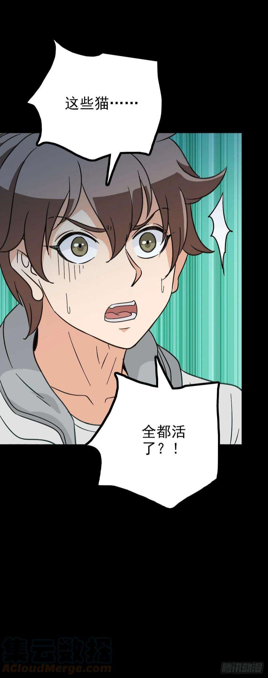 诛邪黑猫地煞