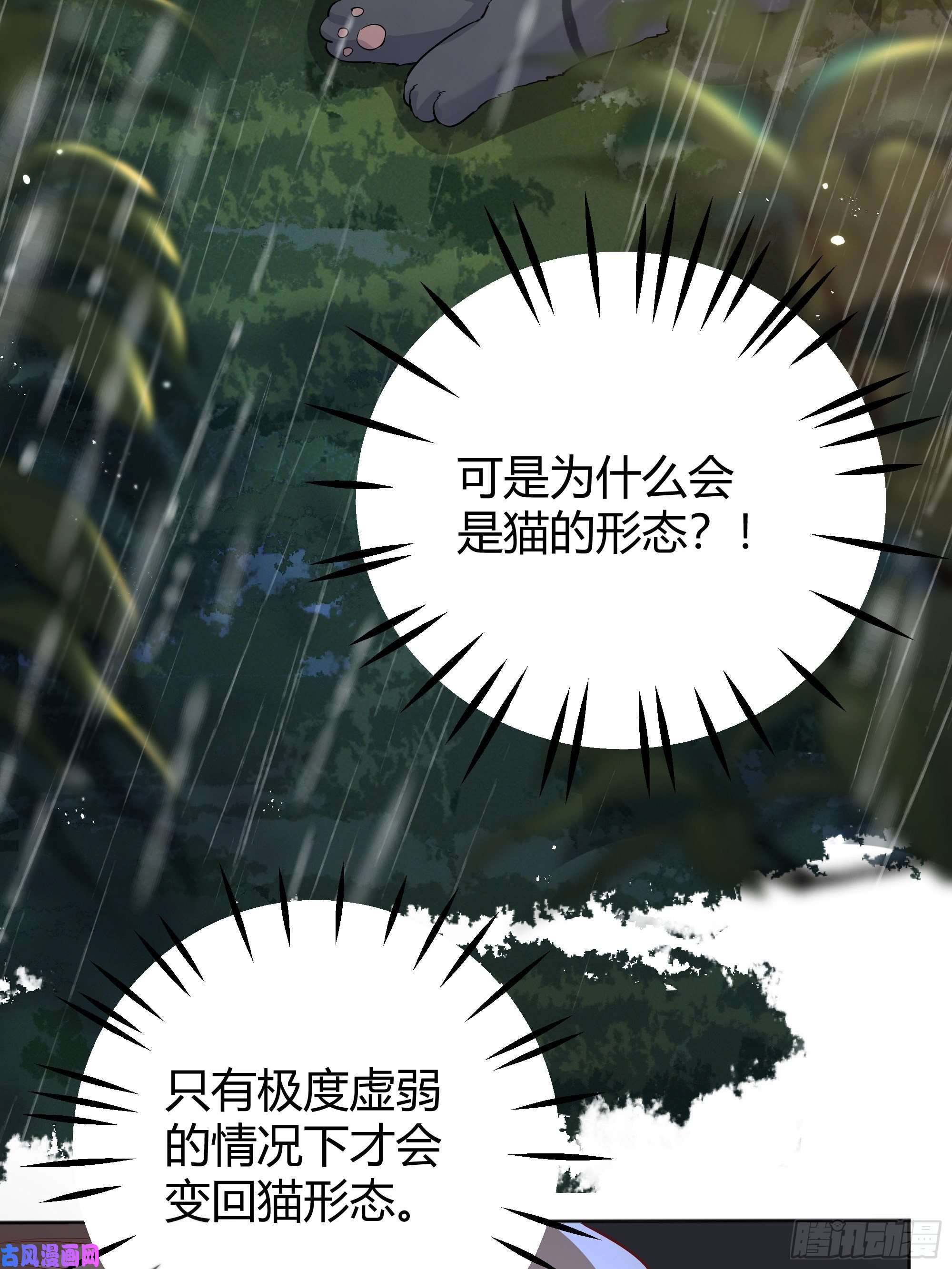 后宫就交给反派女配011你究竟是谁