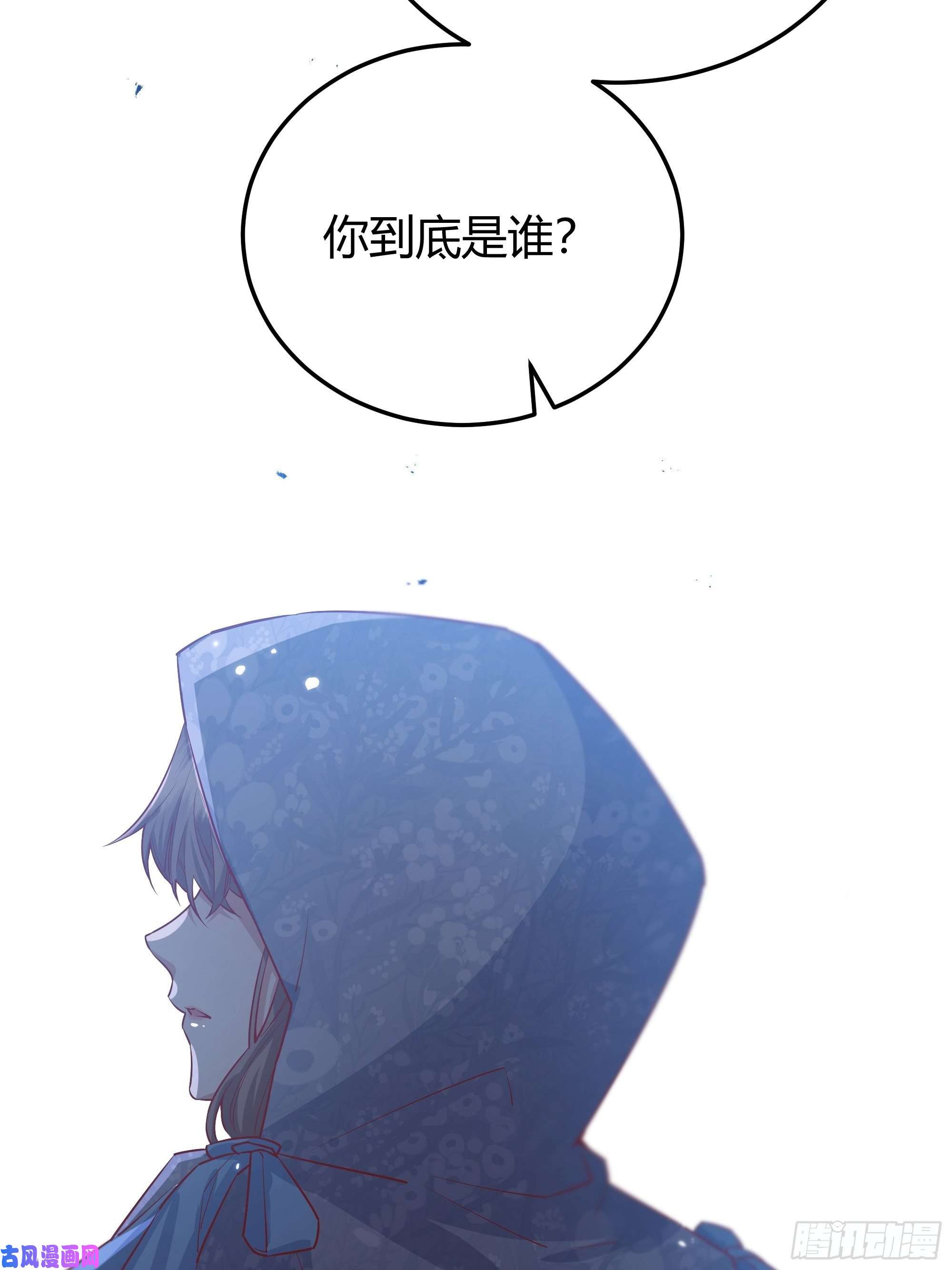 后宫就交给反派女配011你究竟是谁