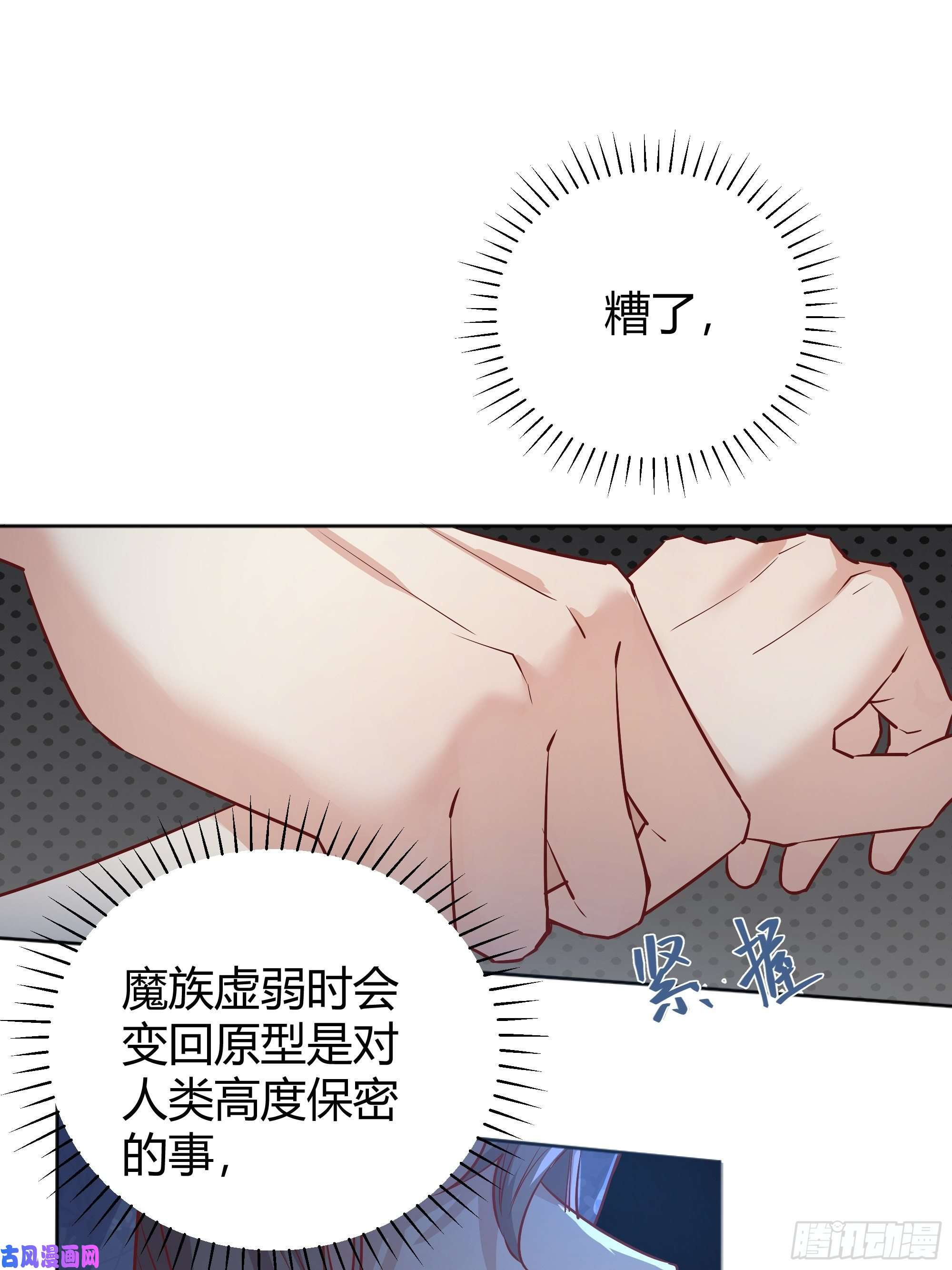 后宫就交给反派女配011你究竟是谁
