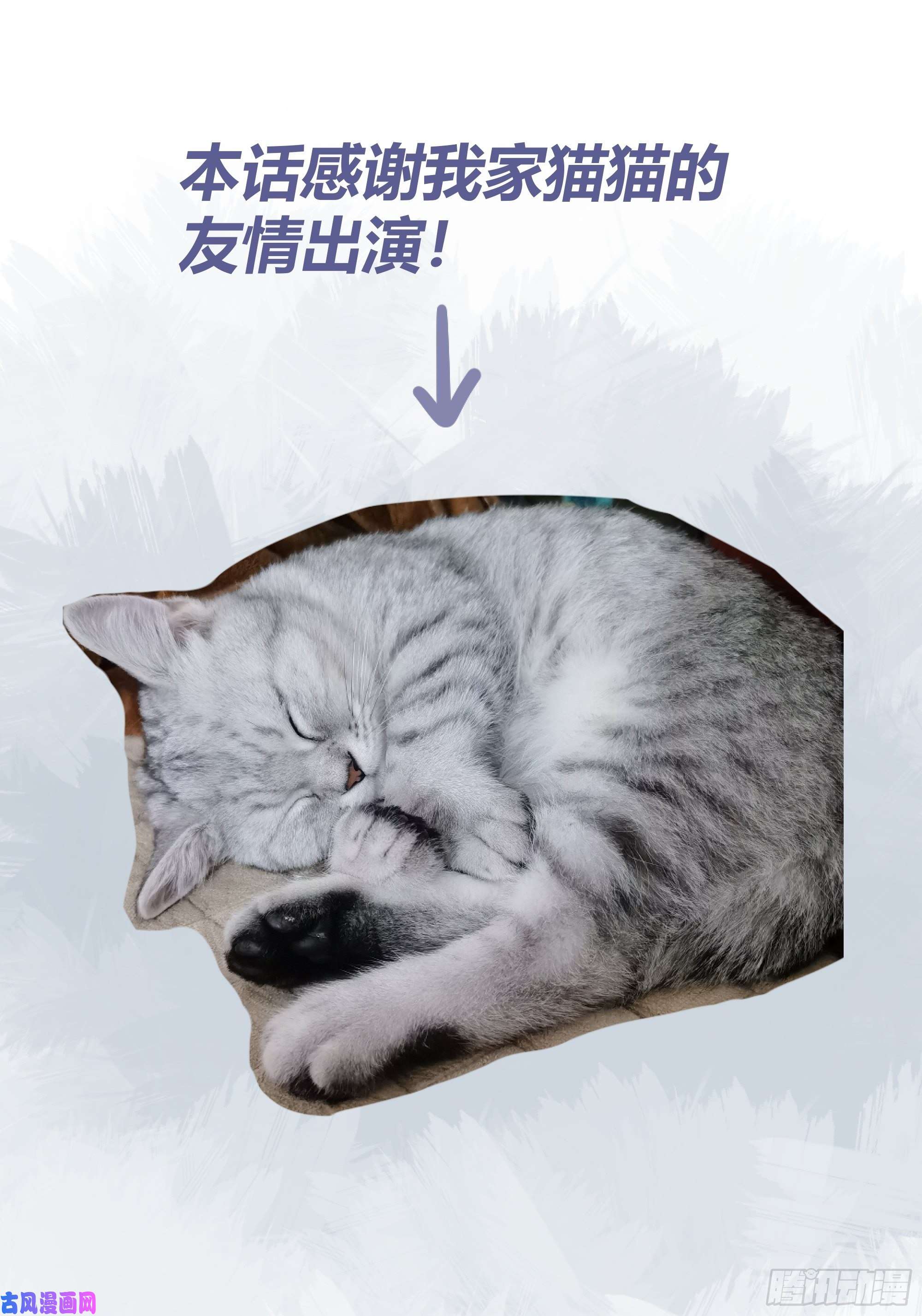 后宫就交给反派女配011你究竟是谁