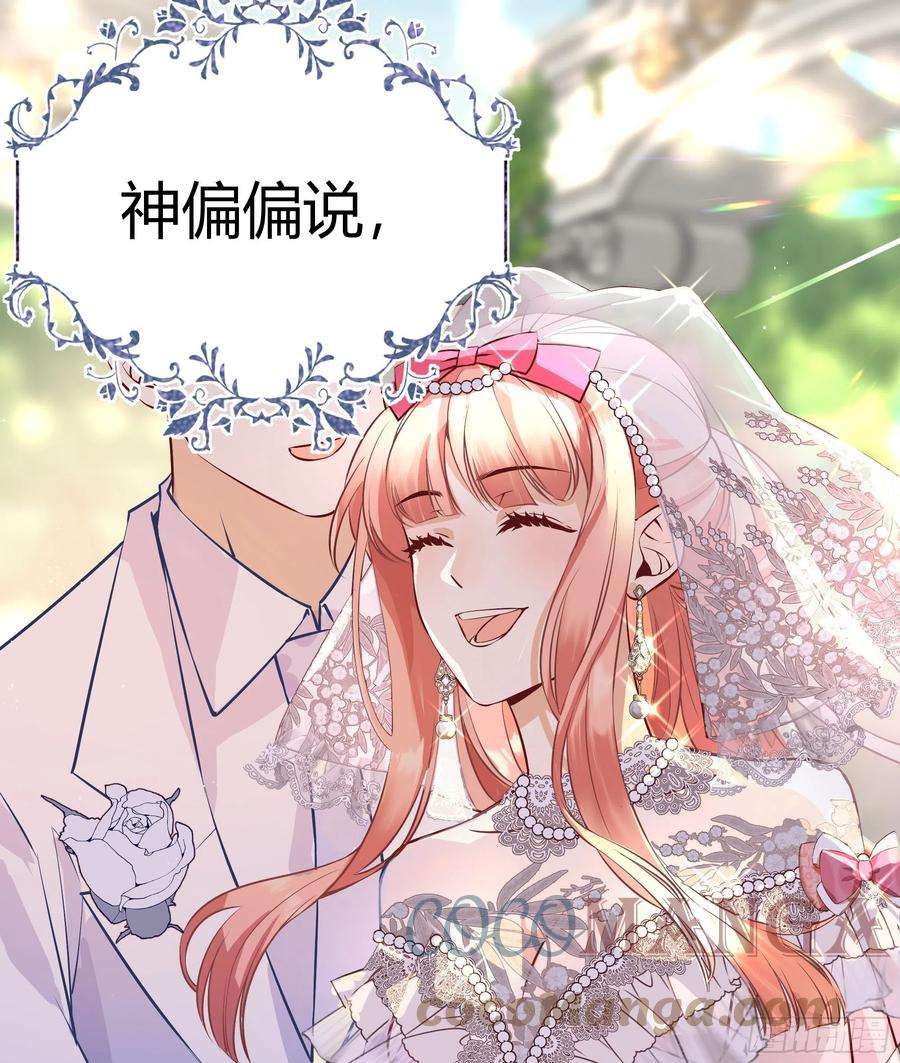 后宫就交给反派女配预告