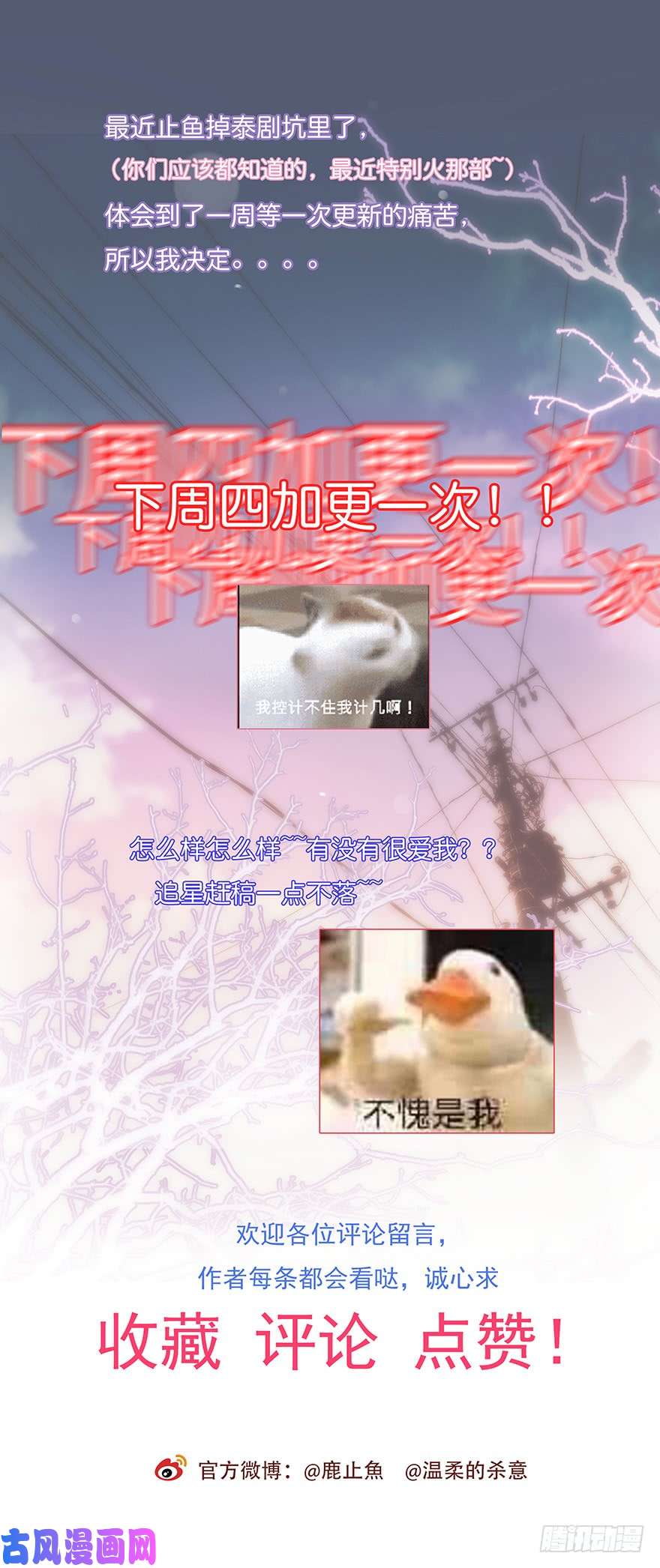 心理负距离015 别跟着我