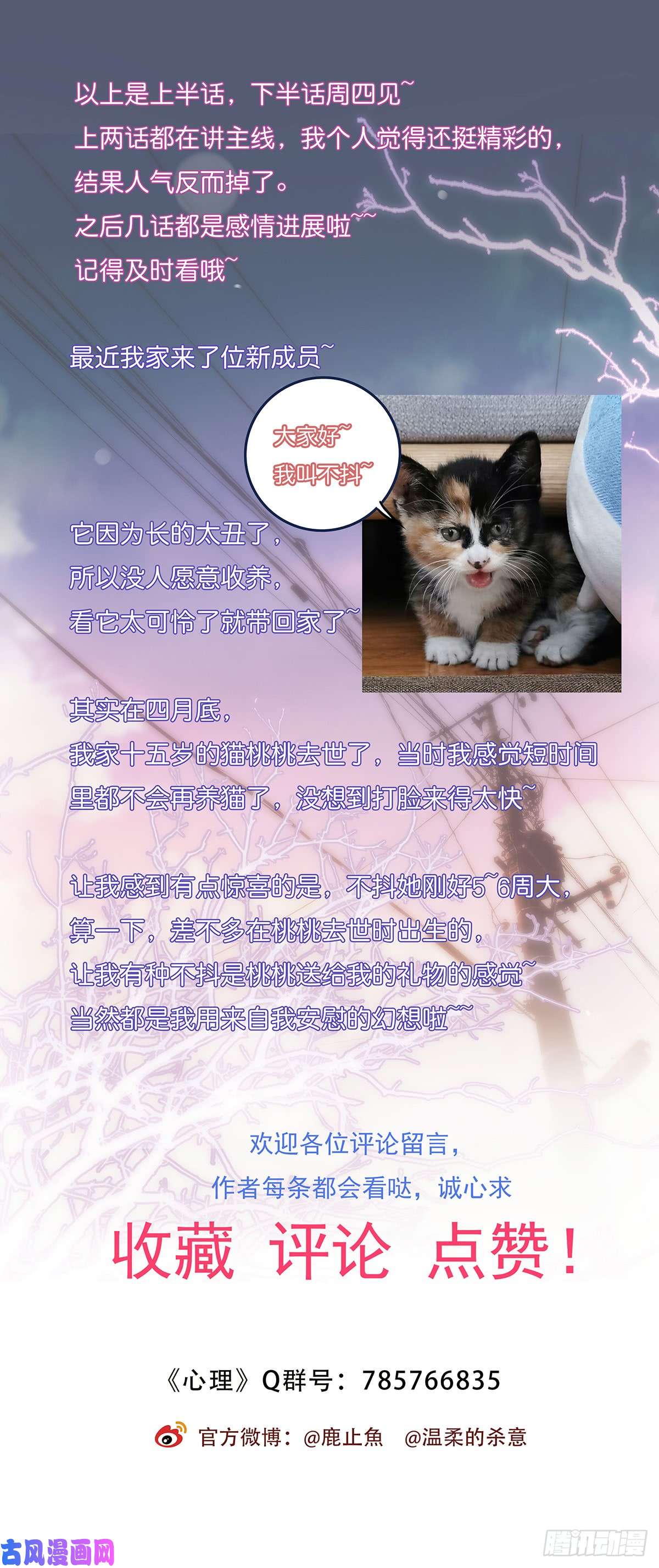 心理负距离026 真的可以吗？