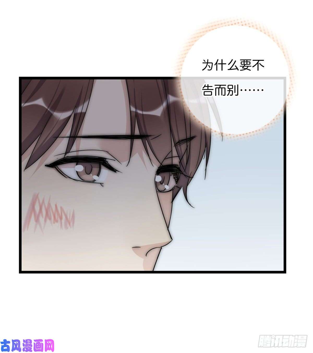心理负距离043 狼狈