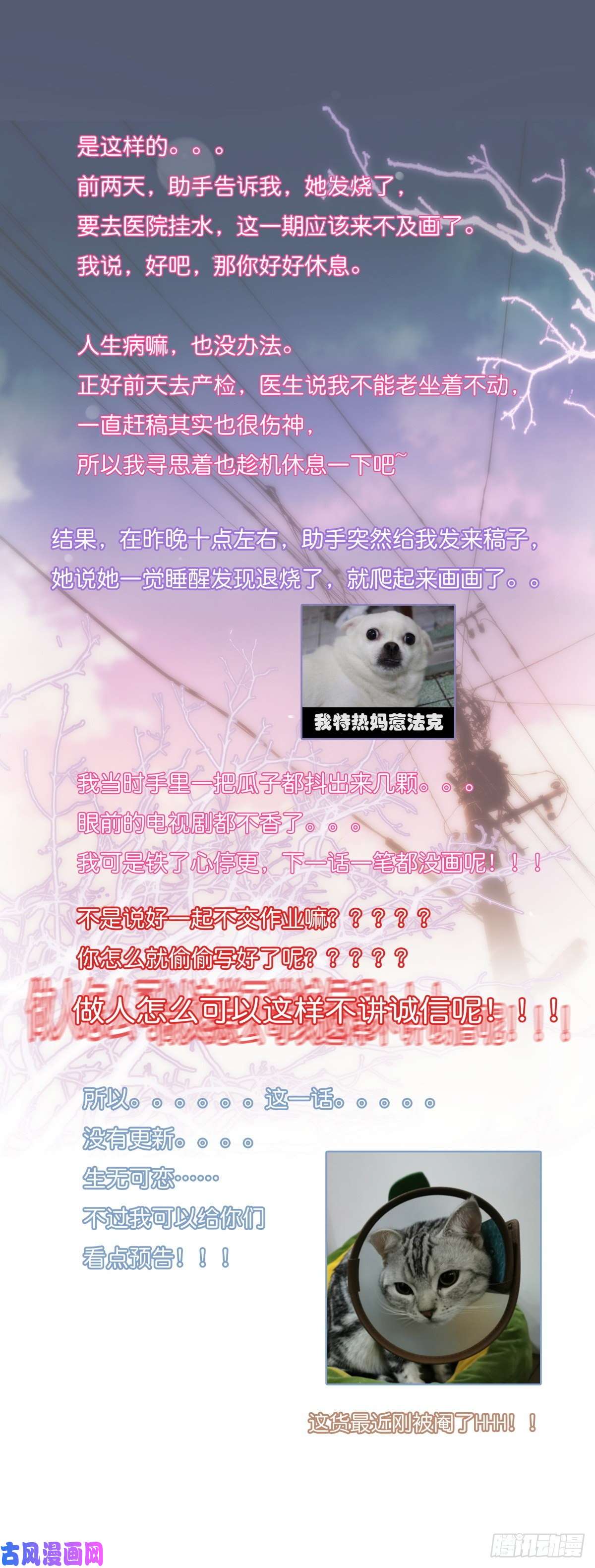 心理负距离公 告