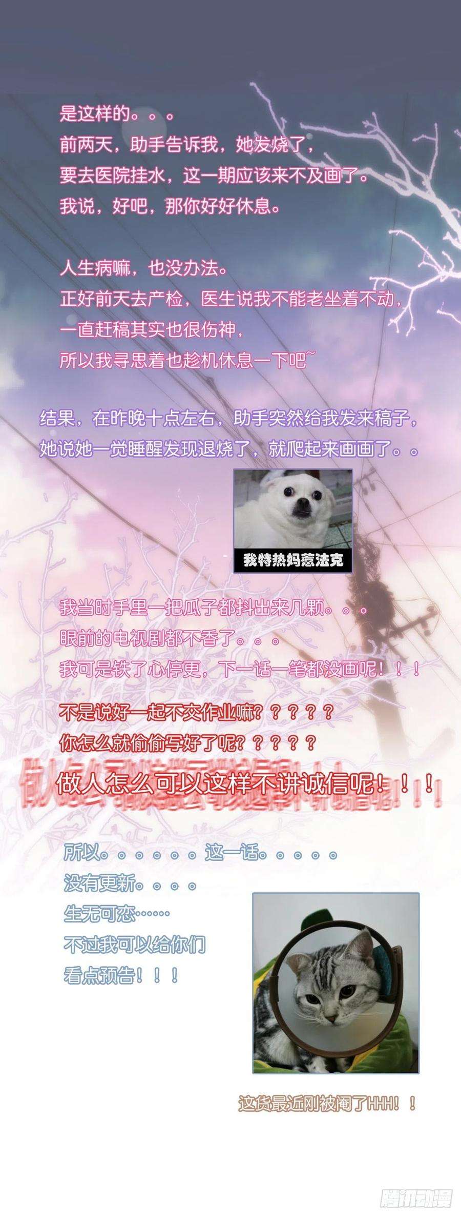 心理负距离公 告