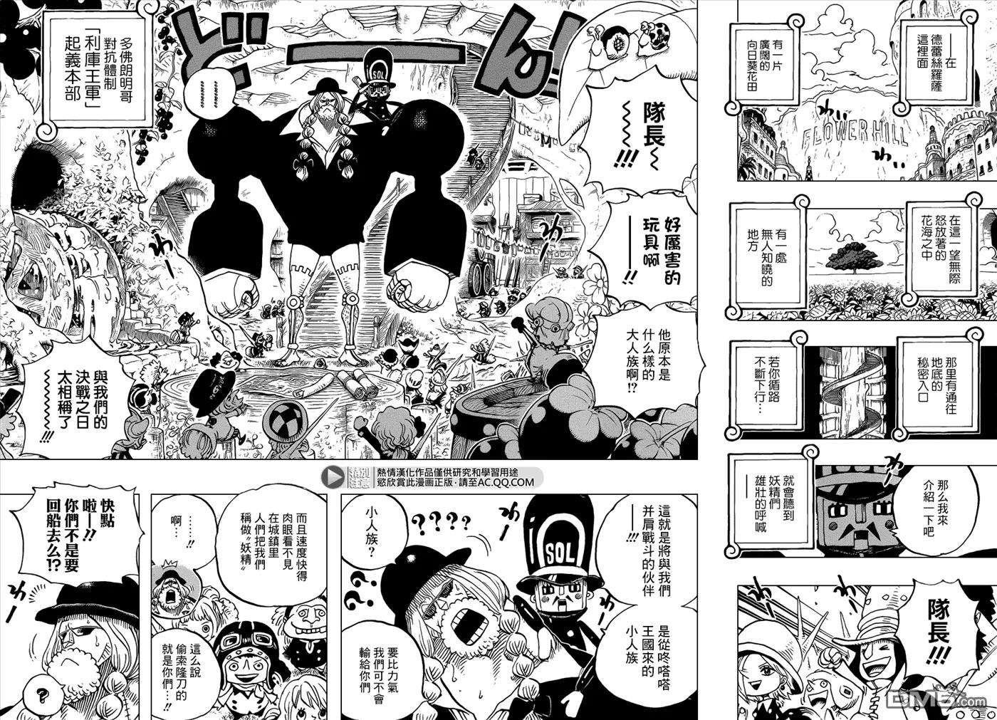 海贼王718话 花田中的利库王国军